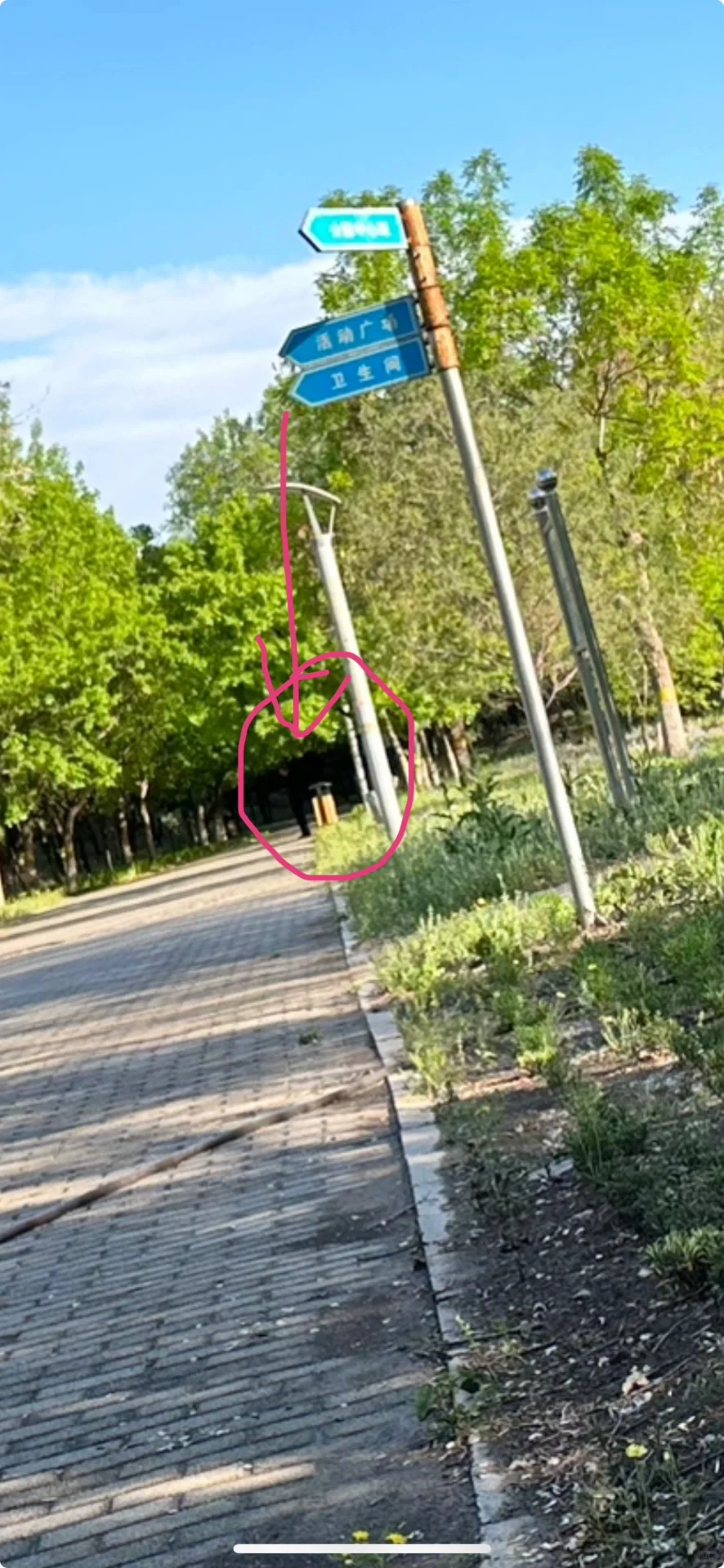 在公园遇到有人看篇
