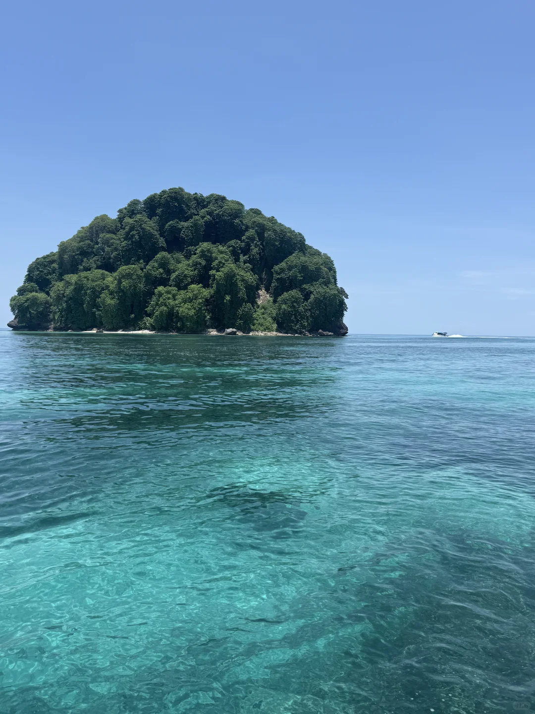 🇲🇾海岛🏖️(ˆ˚ˆ✿)比基尼正常穿搭必备