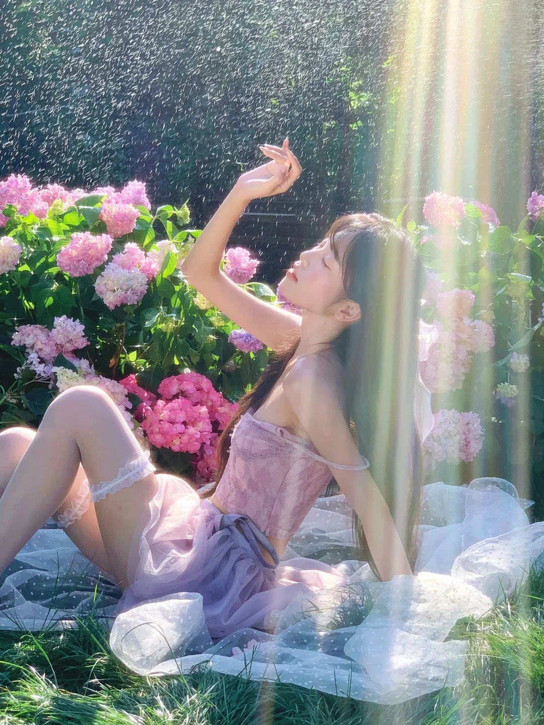 “在武汉拍到人生美照啦！绣球花太绝了✨”