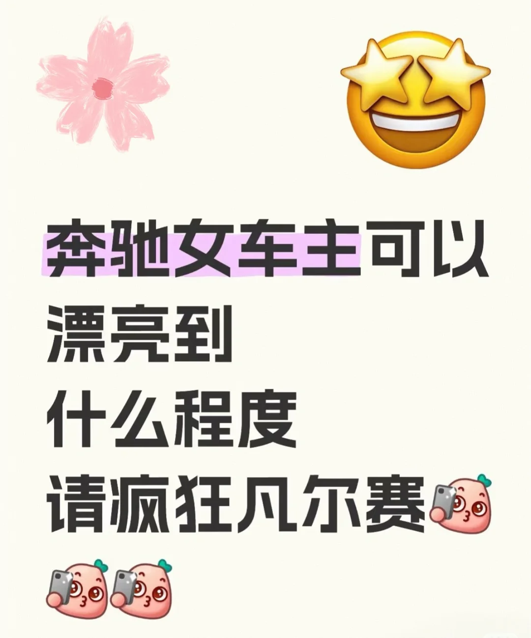 奔驰女车主