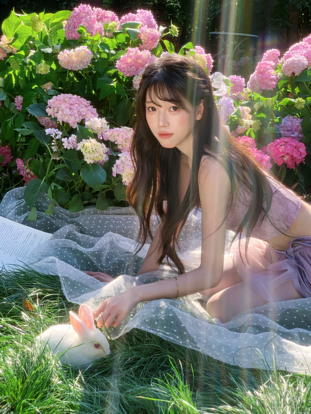 “在武汉拍到人生美照啦！绣球花太绝了✨”