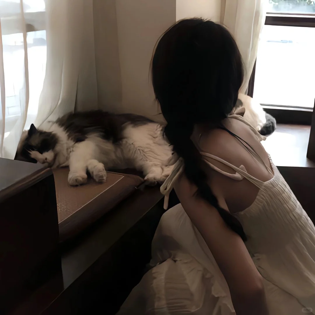 不露脸头像