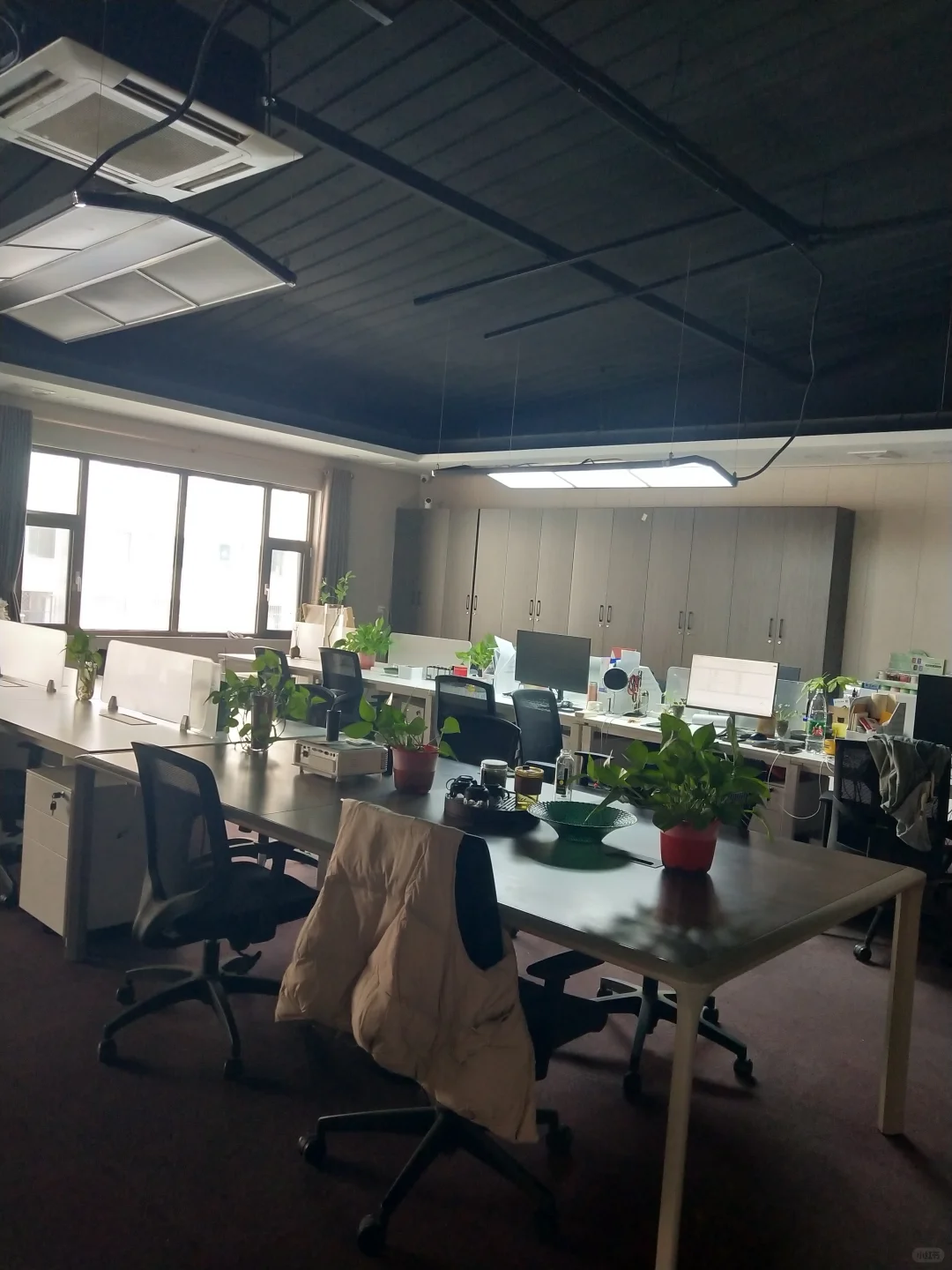 不要担心💪初创公司，老板员工都是我😂