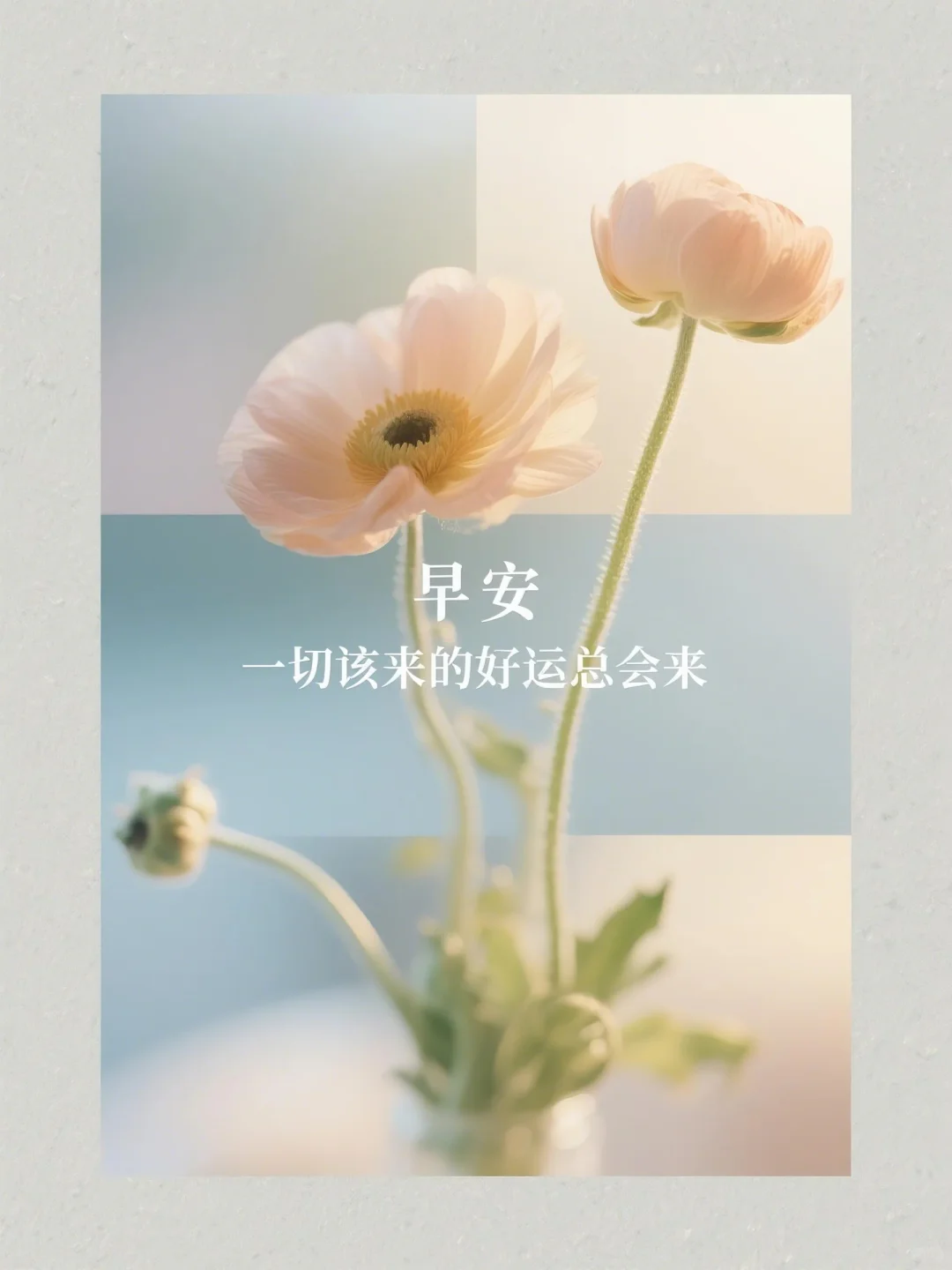 早安🤣 | 愿你今日好运来到，万事顺遂