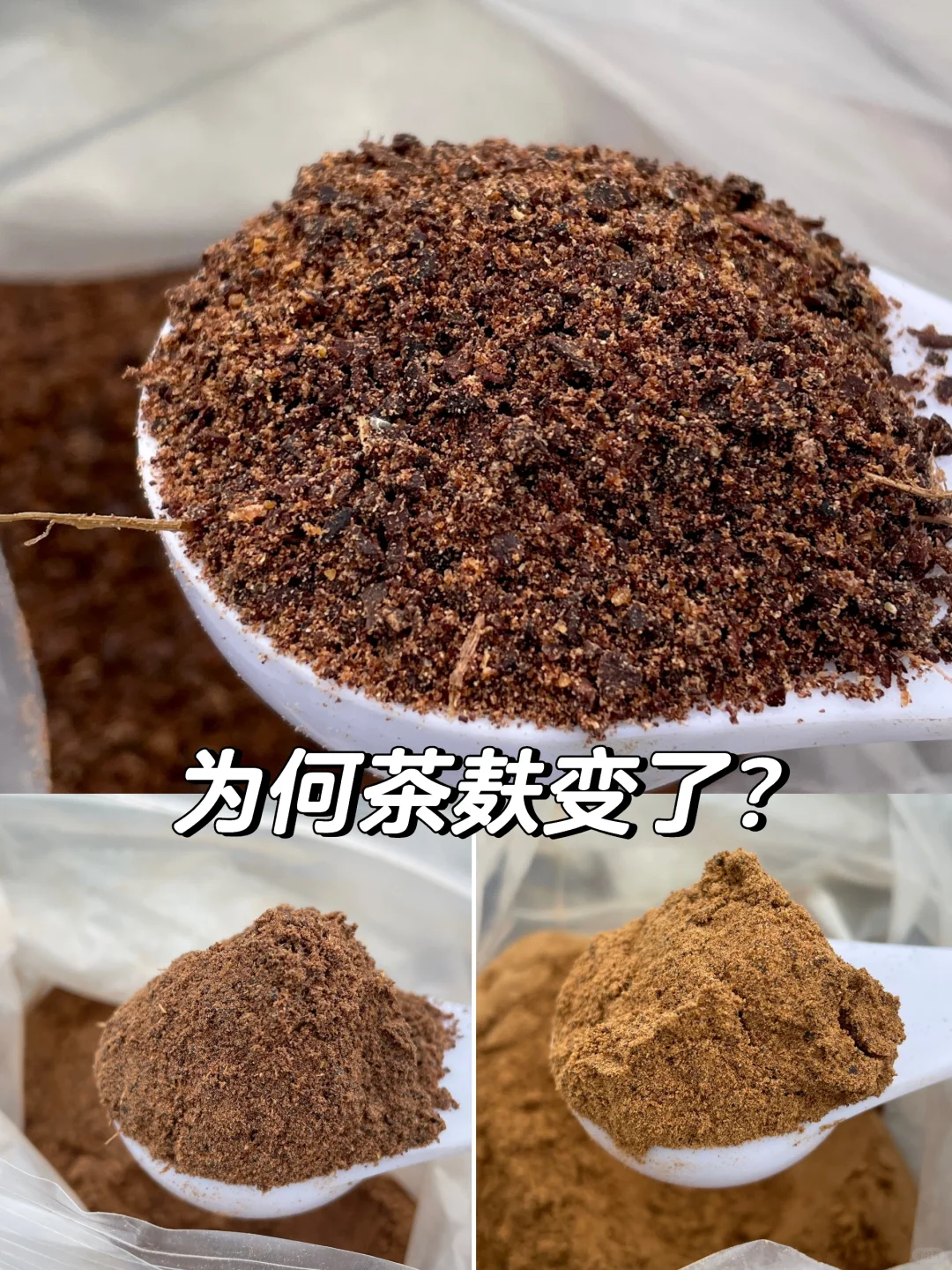 茶麸洗头 为何又干又涩掉发严重？