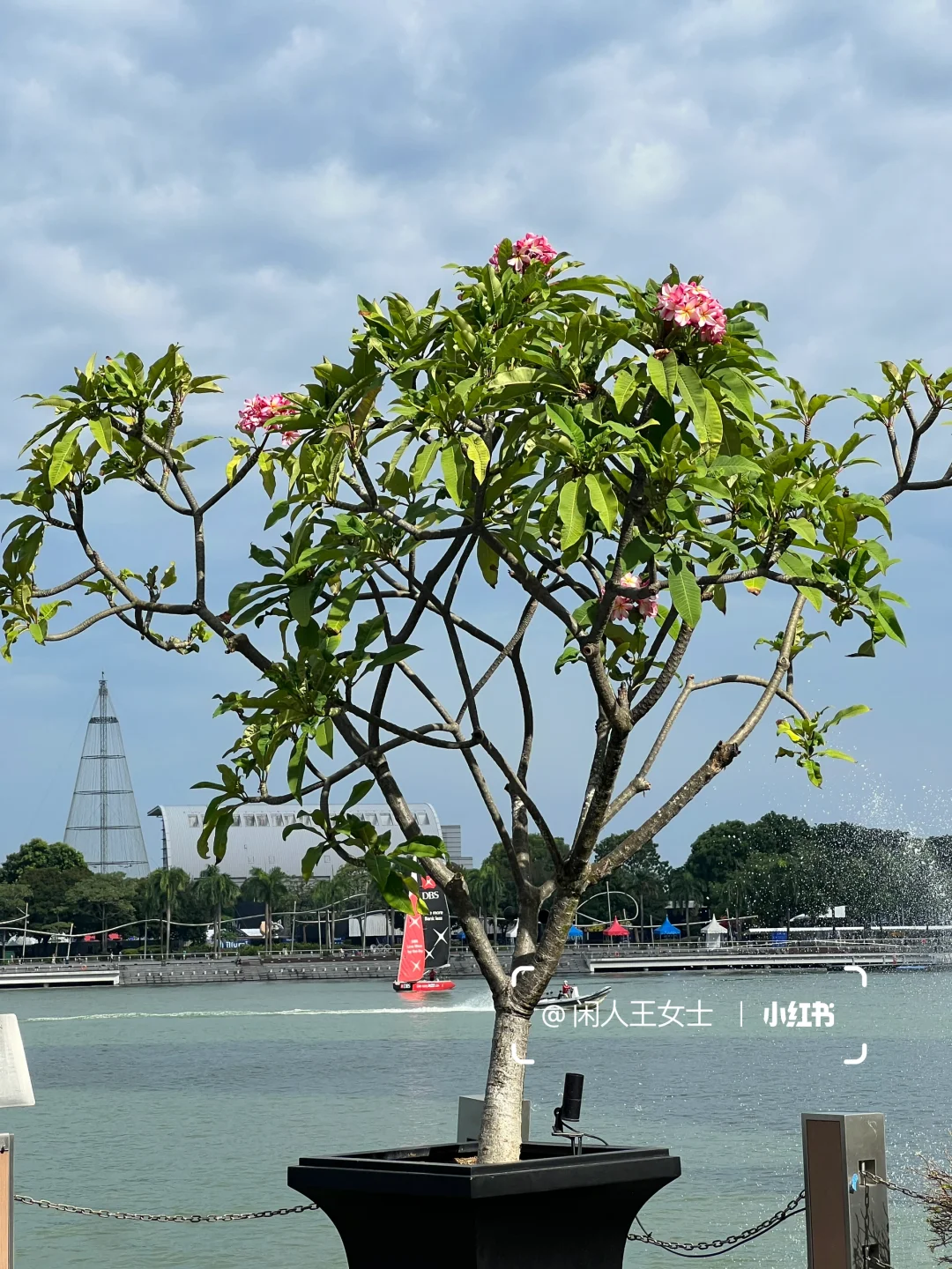 女领导/创始人的公司是不是都有月经假？