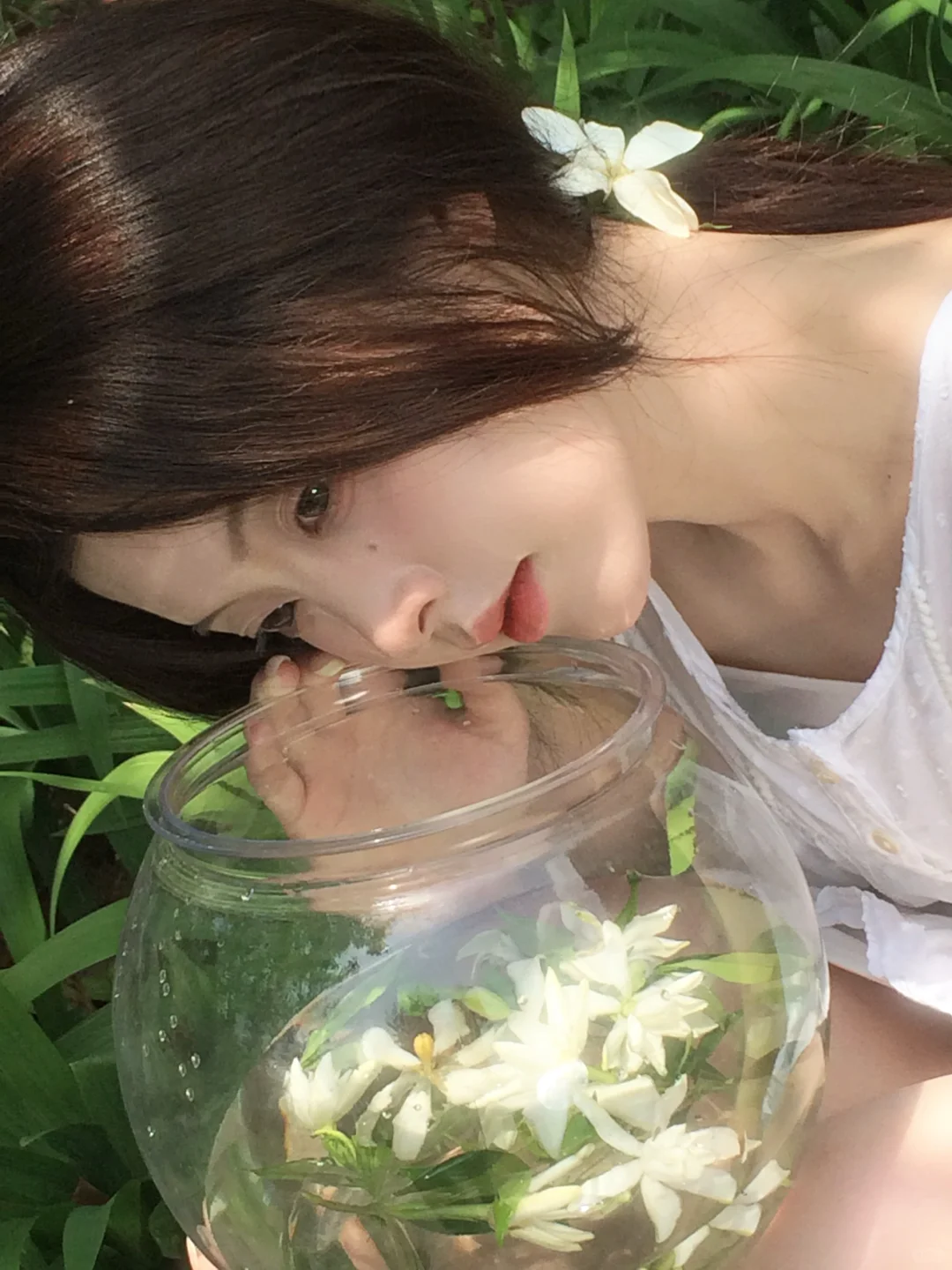 唯一纯白的栀子花ꕤ⋆⸝⸝