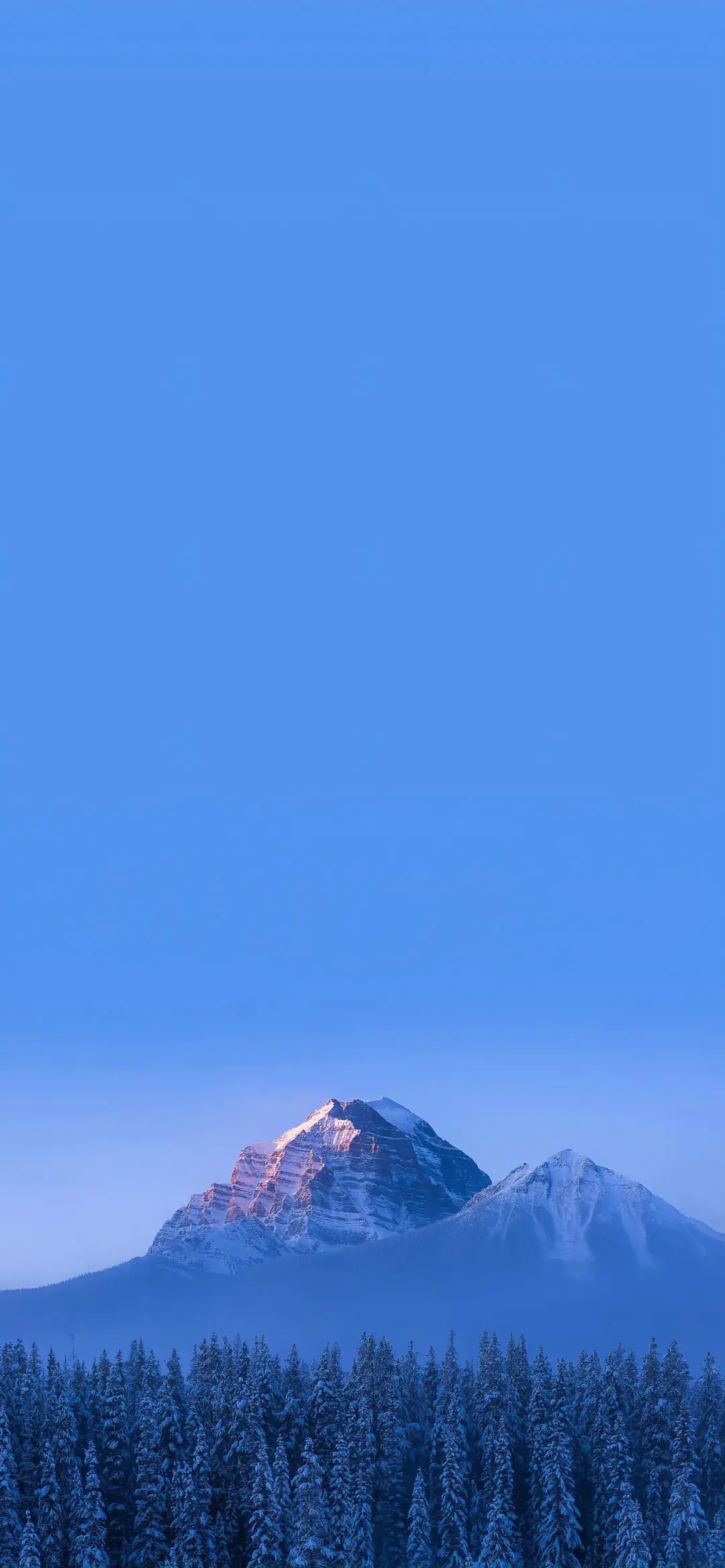 壁纸分享｜高级感壁纸 金色夕阳 唯美壁纸