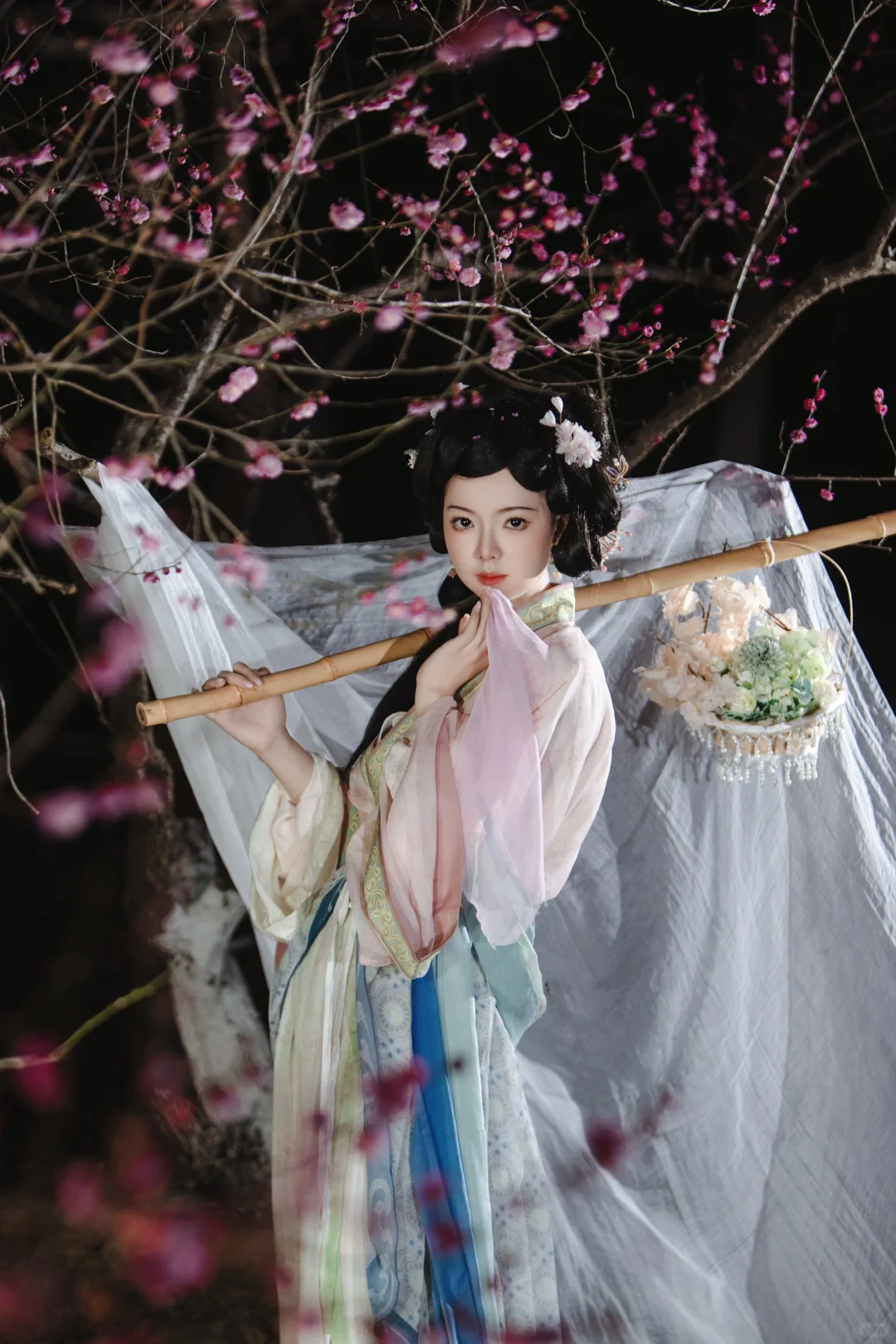 总要拍一次月下粉色梅花吧🌸