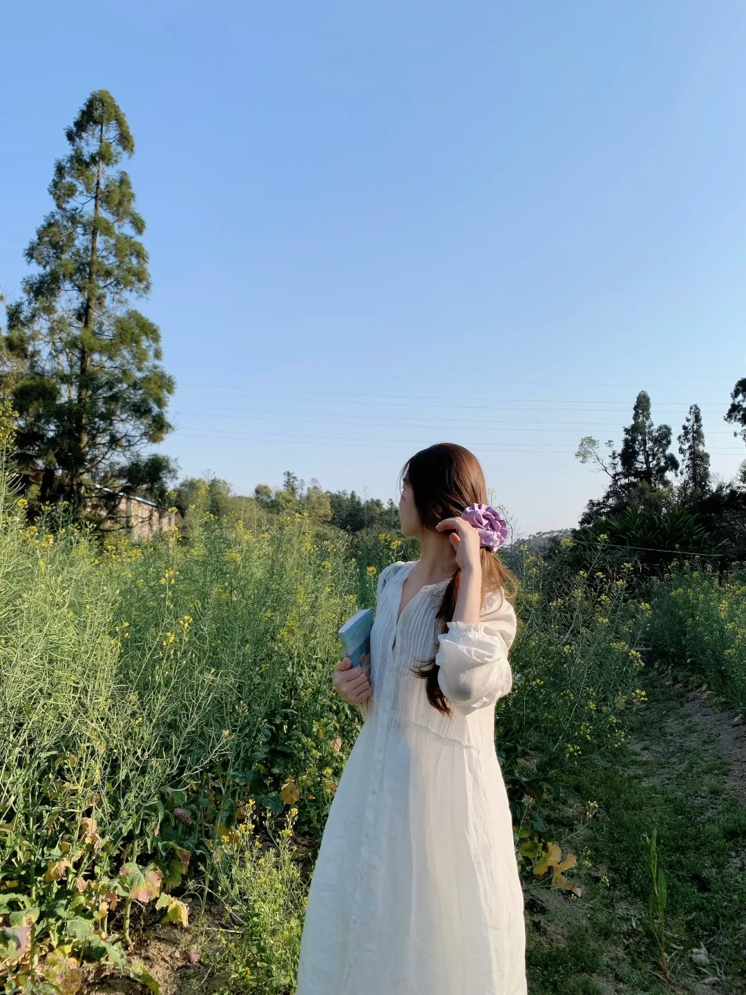 🌿 📸 ₊ ⊹❀