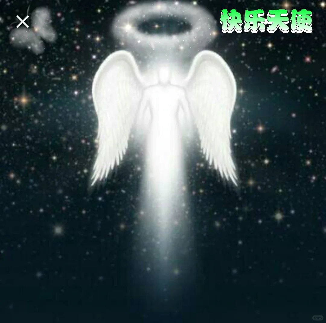 快乐天使👼🏻