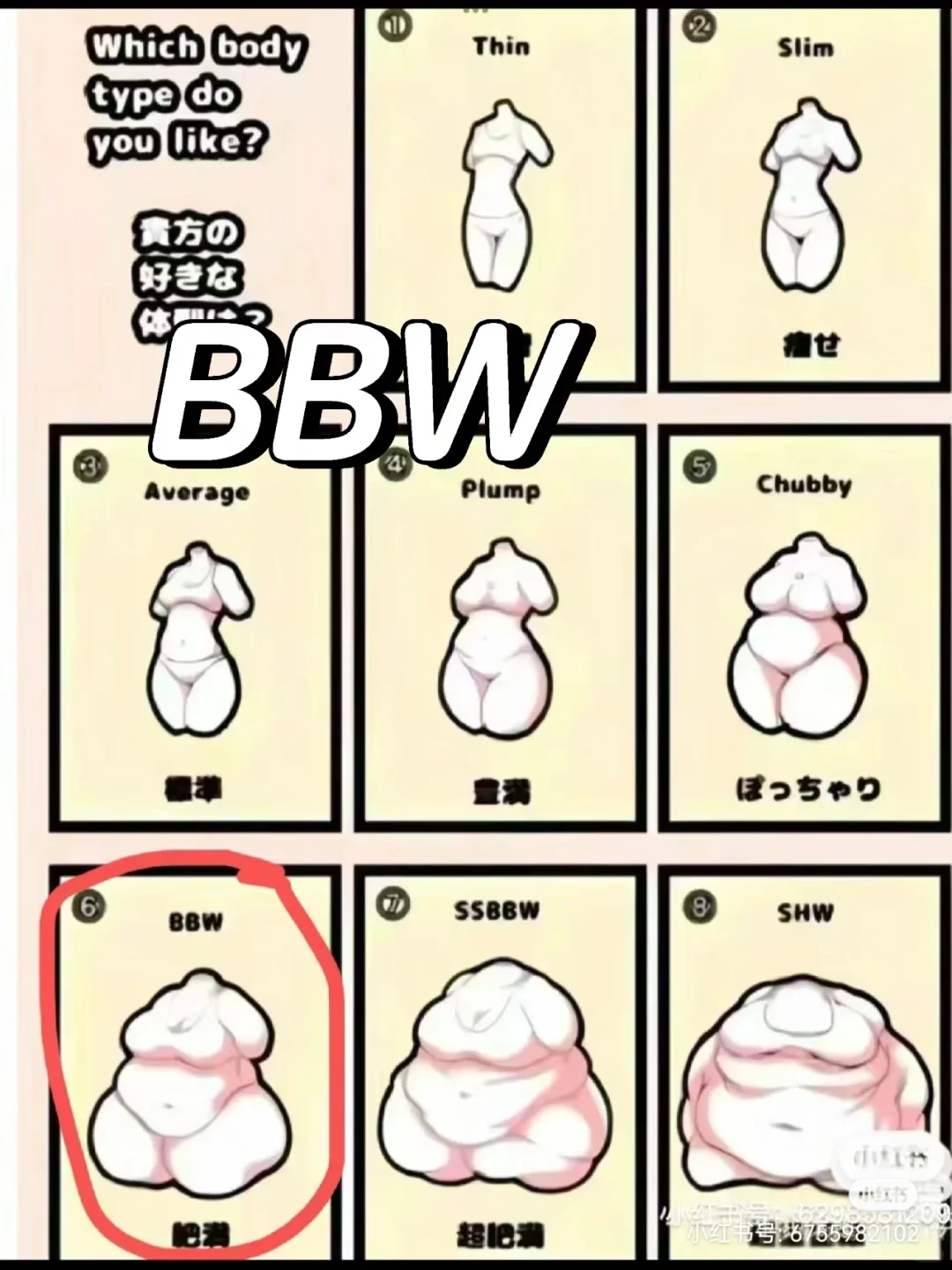 BBW不是微胖的美女！！！