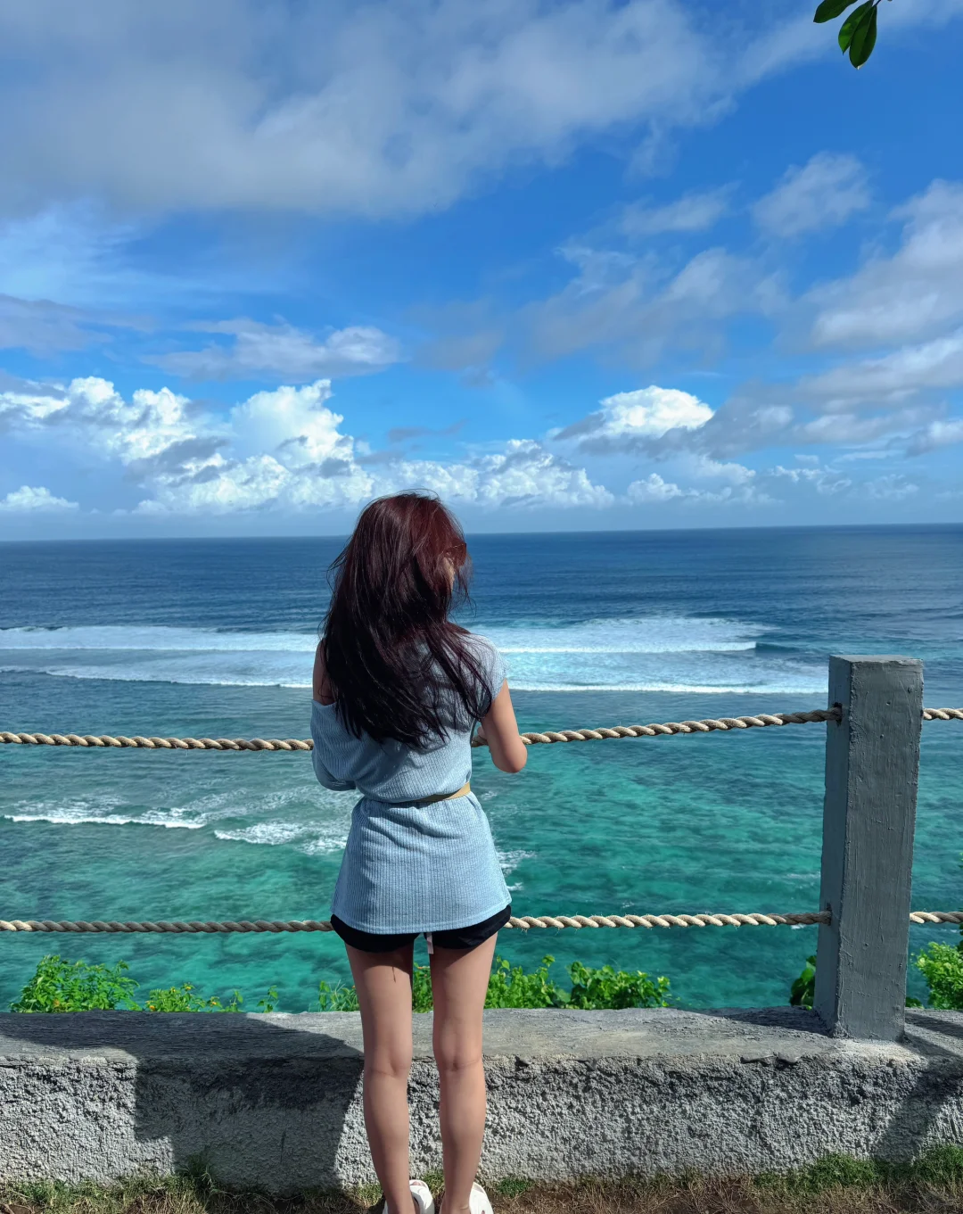 我的海边日记📔