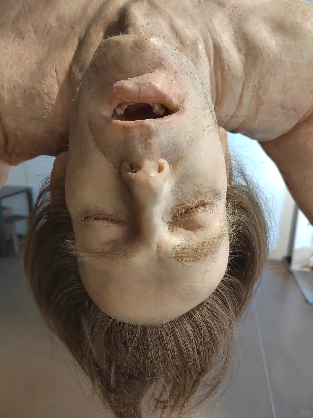 Robert Gligorov 身体的苦难