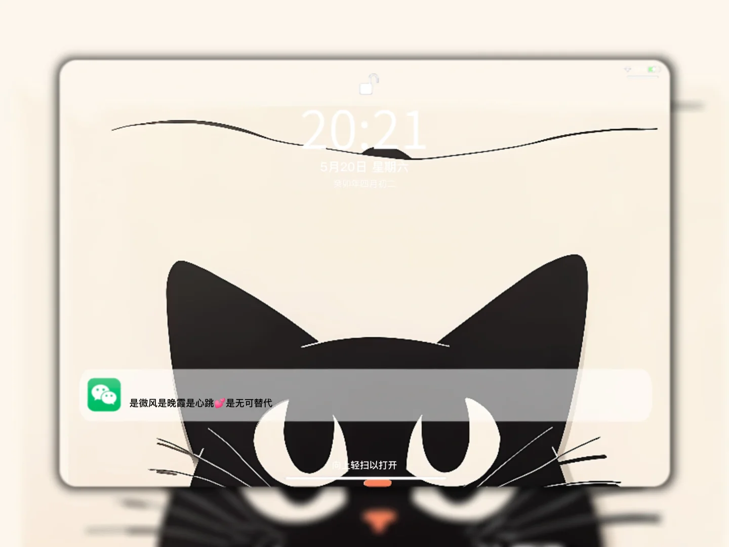 女孩和黑猫 | ipad高清壁纸|平板壁纸