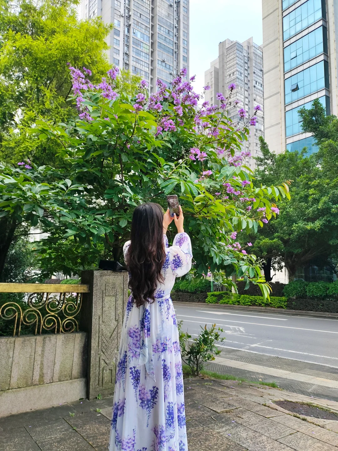 超火的紫藤连衣裙 不同价位平替对比❗