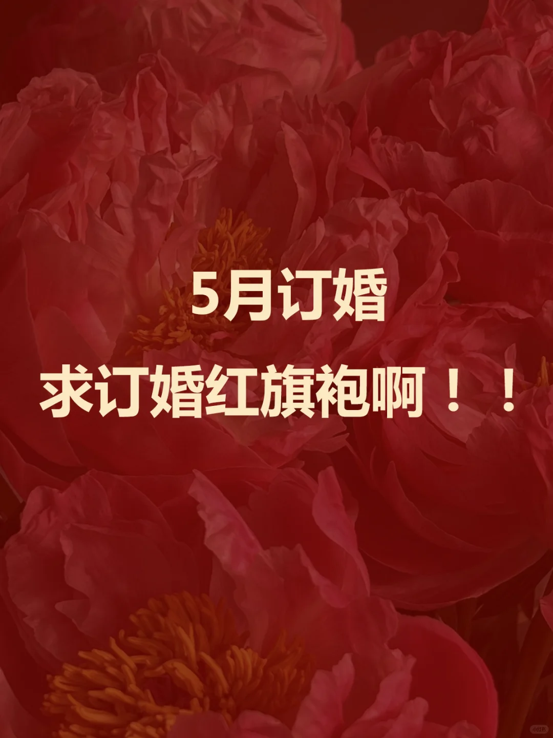 5月订婚❗️求订婚红旗袍啊‼️梨型身材穿呢～
