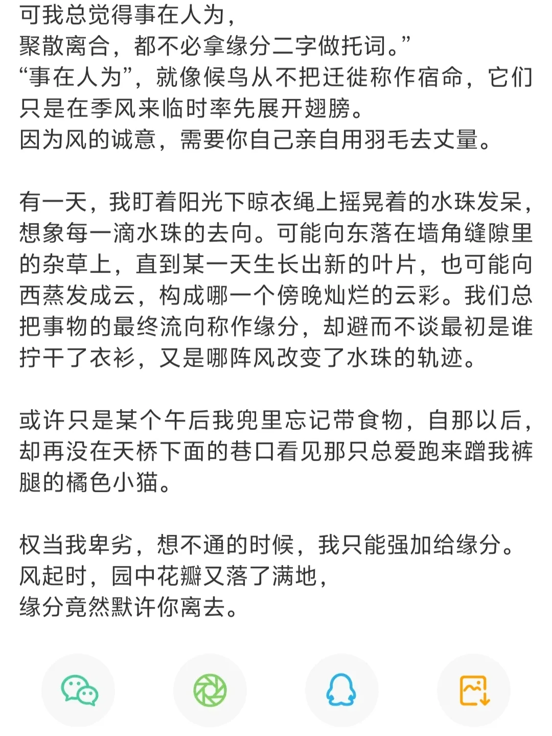 缘分竟然默许你离去。