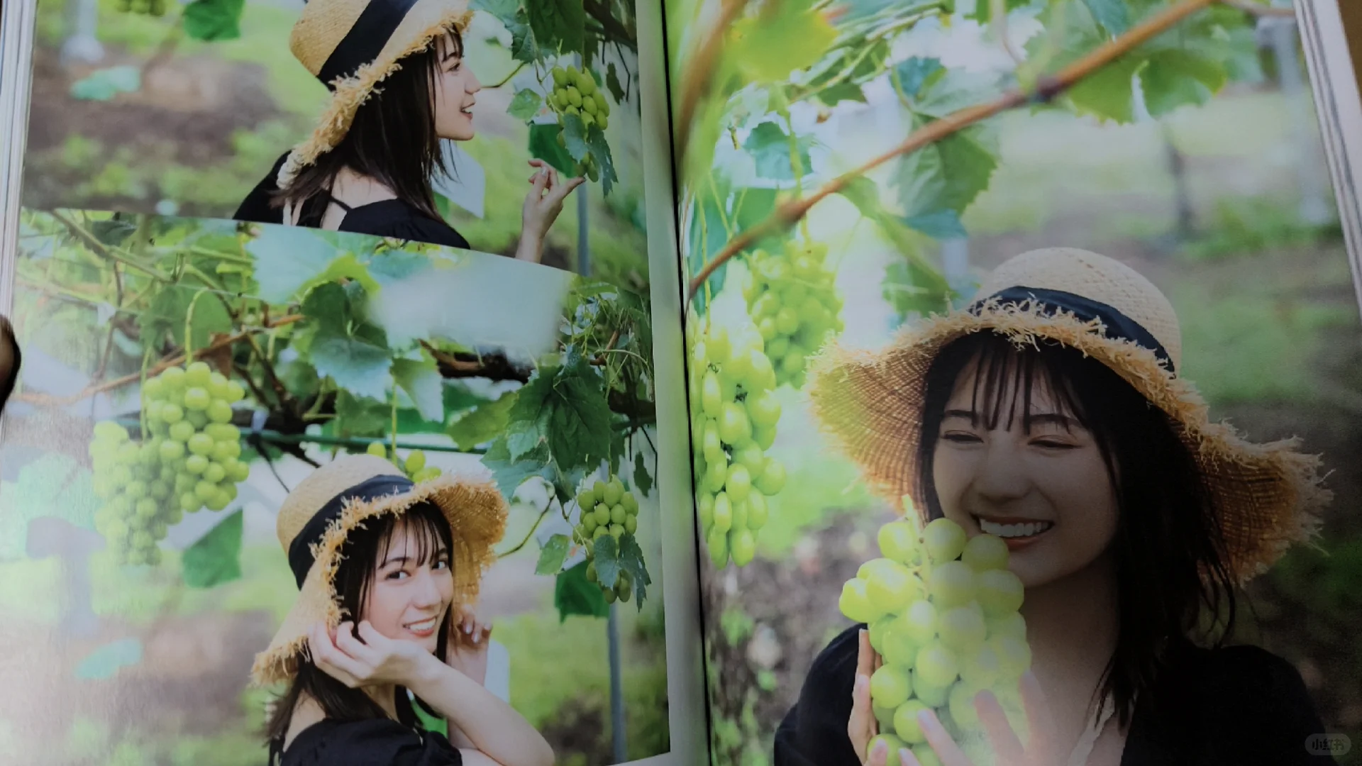 ➗日向坂46 小坂菜绪 1st 写真集周边