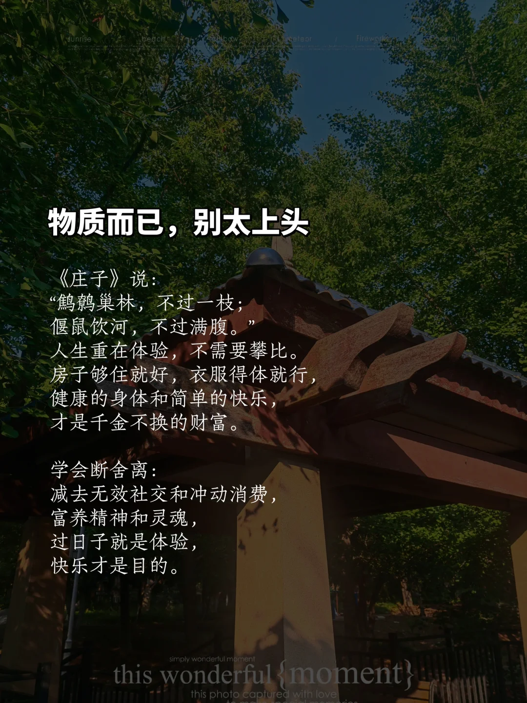 女到中年，保持清晰，凡事别太上头
