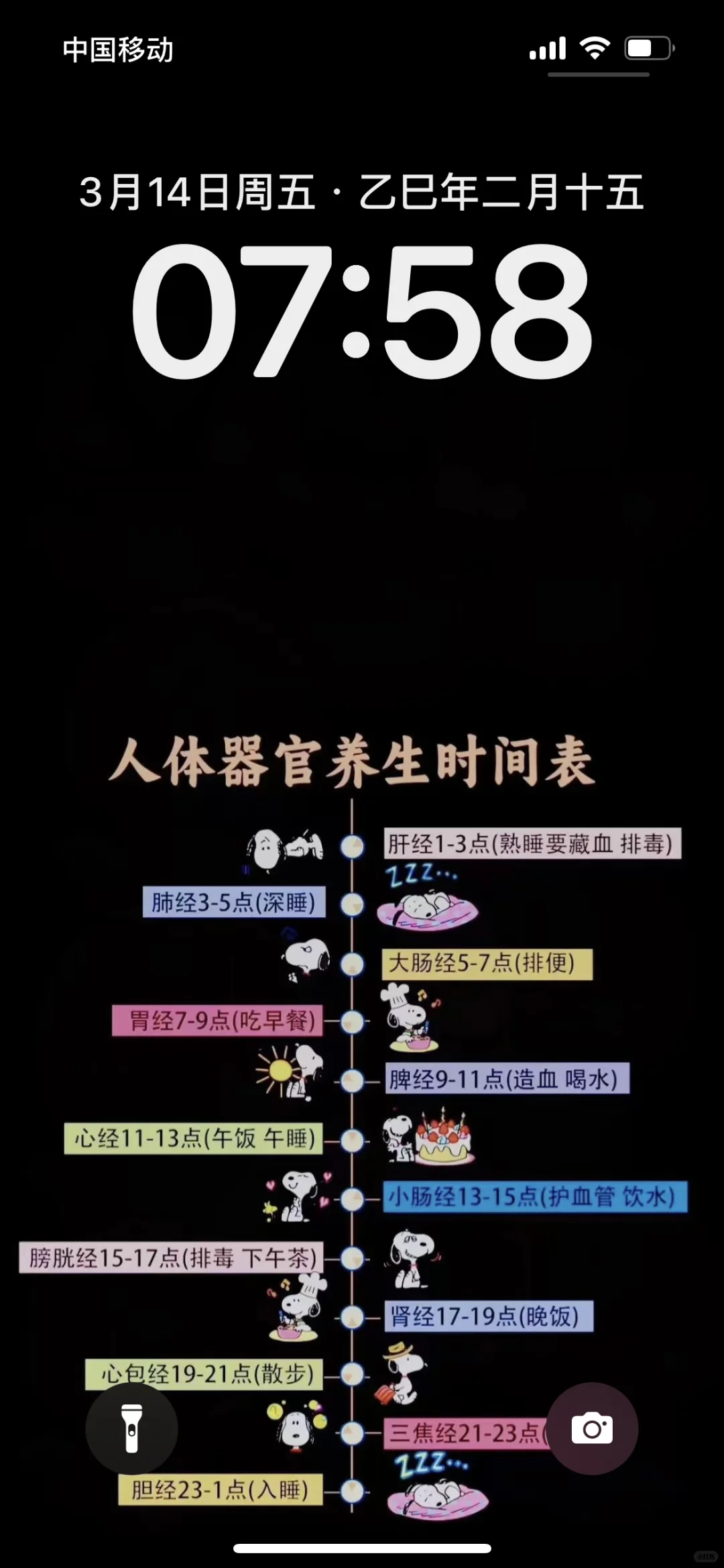 全世界公认的作息时间表🔥