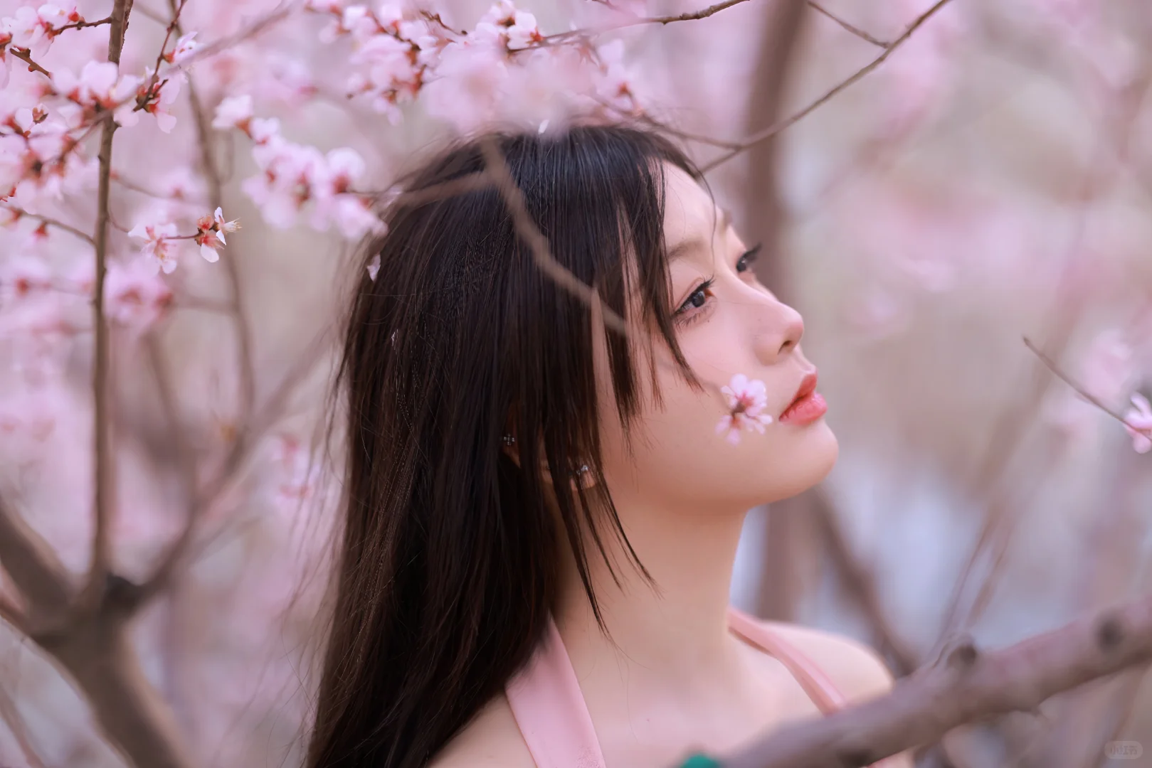 拍完这组照片被摄影在朋友圈挂了……