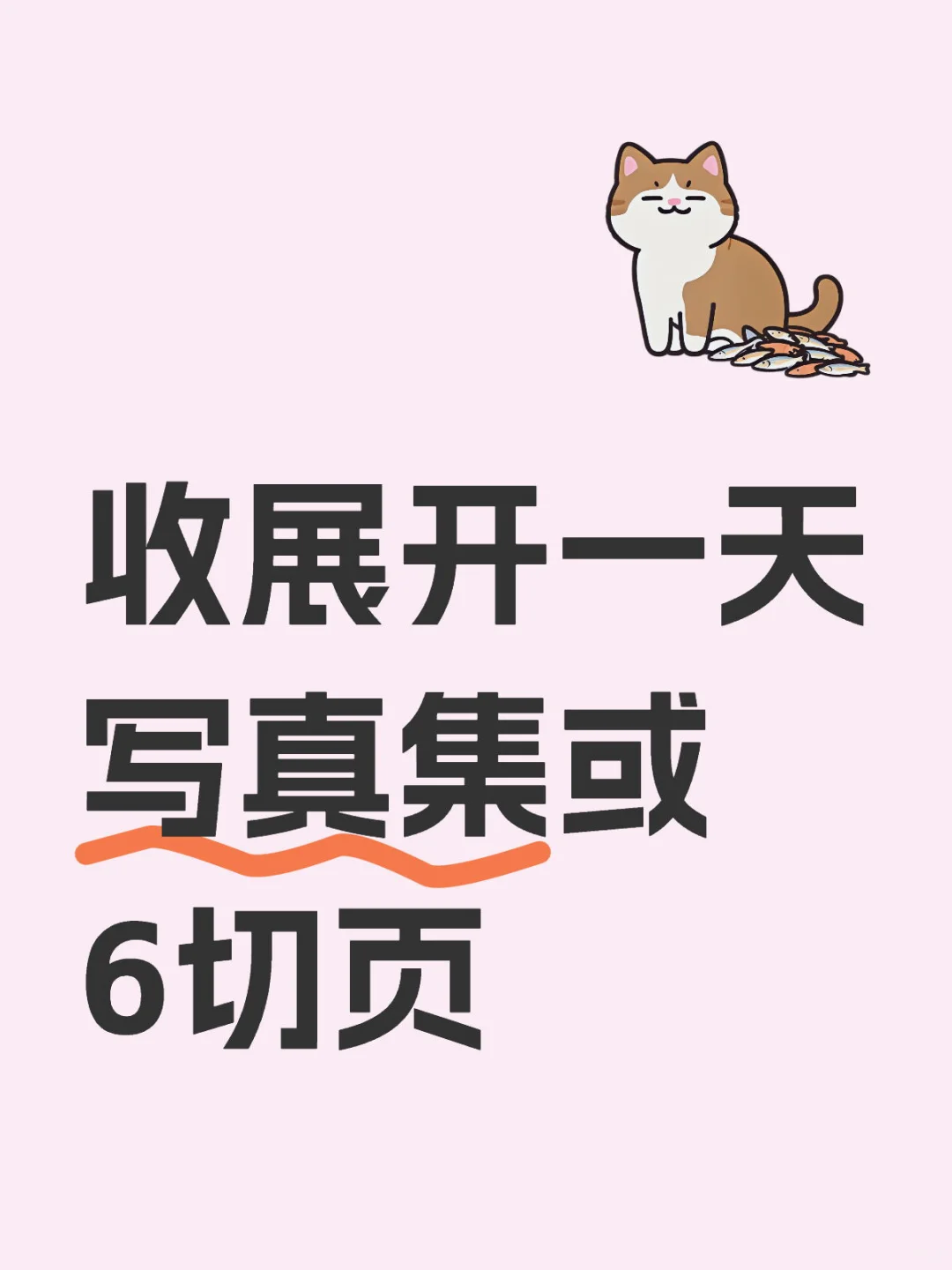 收展开一天写真集或切页（已收到）