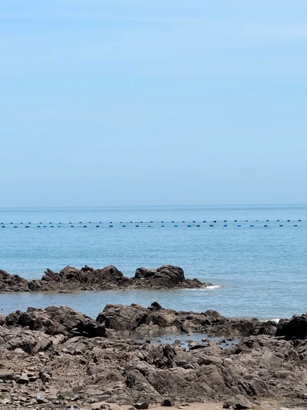 青岛海边拿捏松弛感拍照🐚