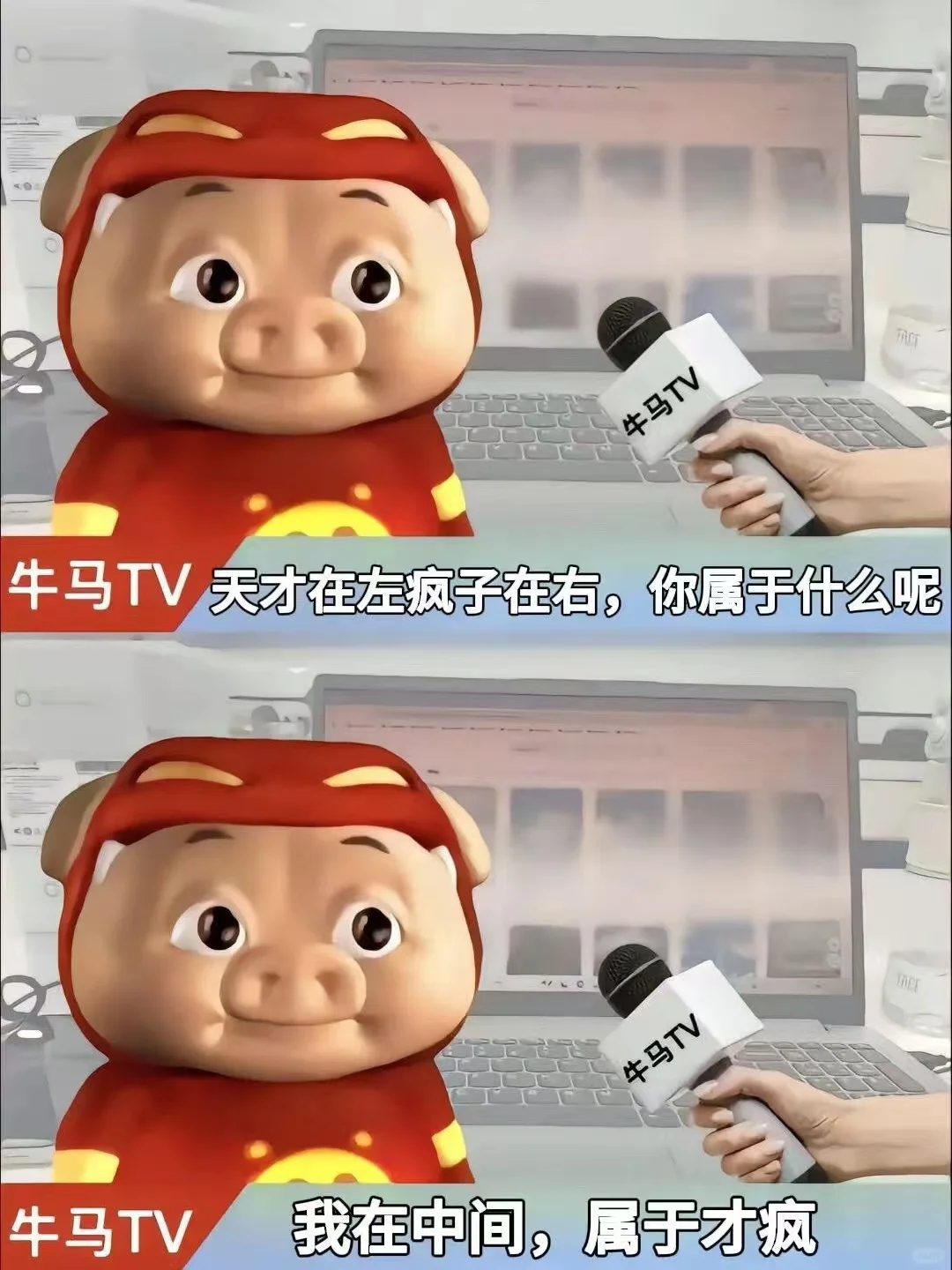 清醒的猪猪男神