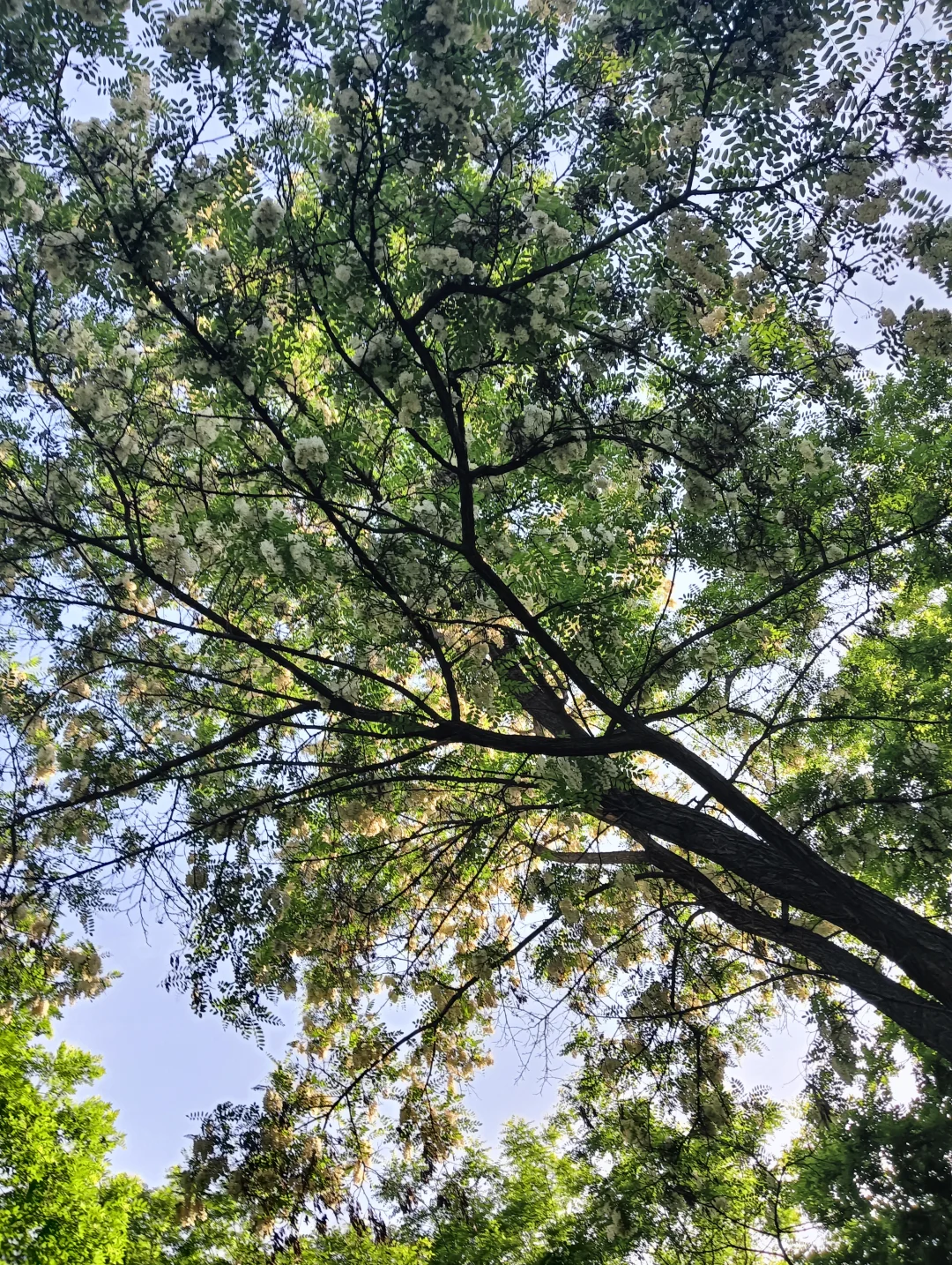 好喜欢啊啊啊啊啊啊啊啊‼️‼️‼️