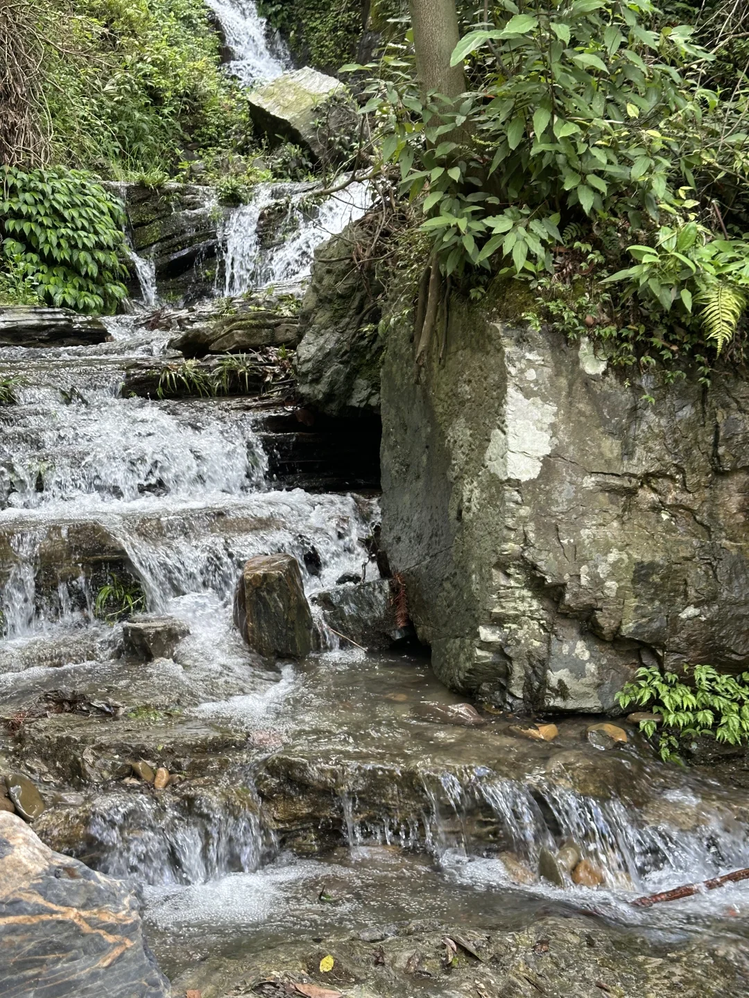 山野间呼吸🍃🌱