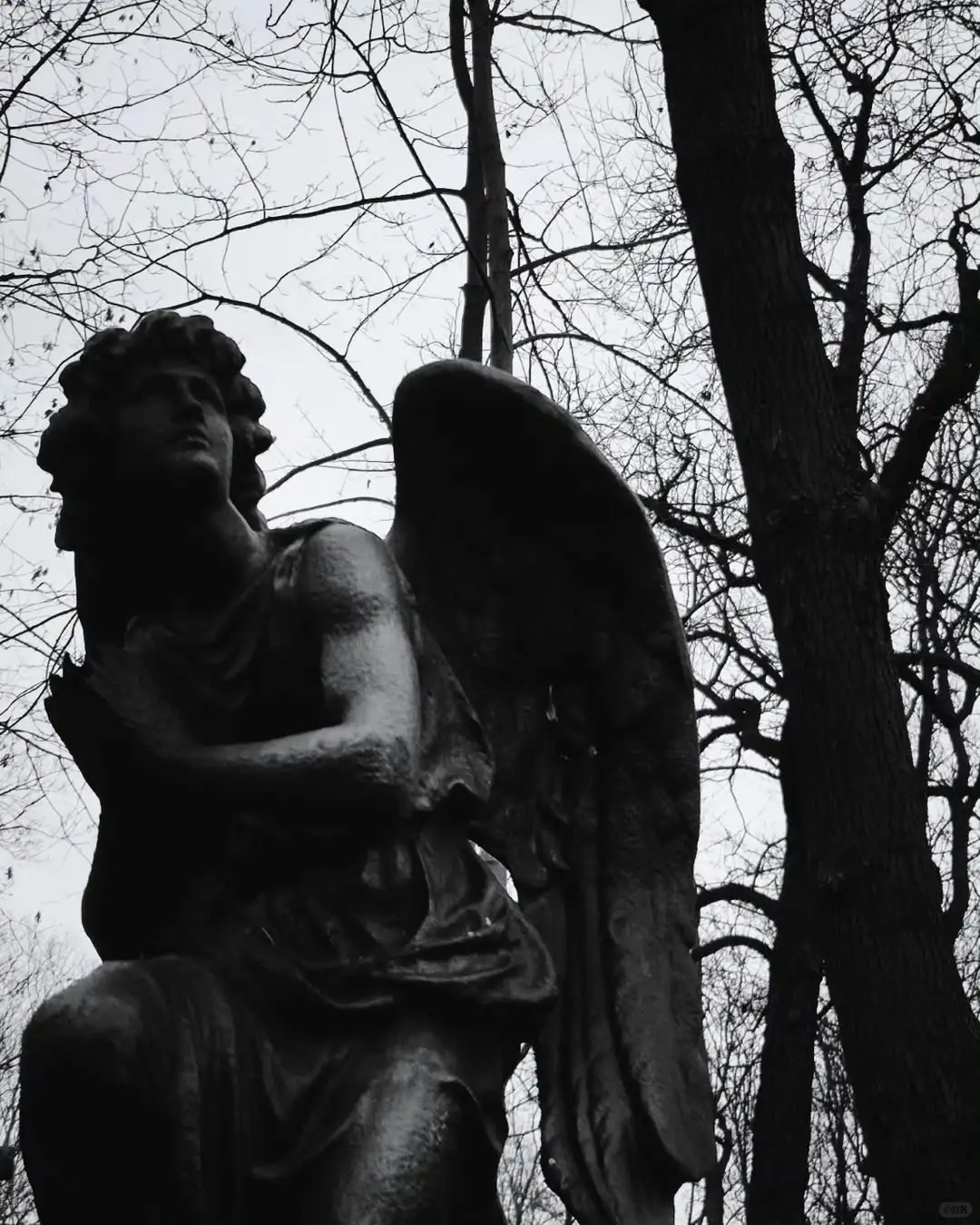 Angel🪽