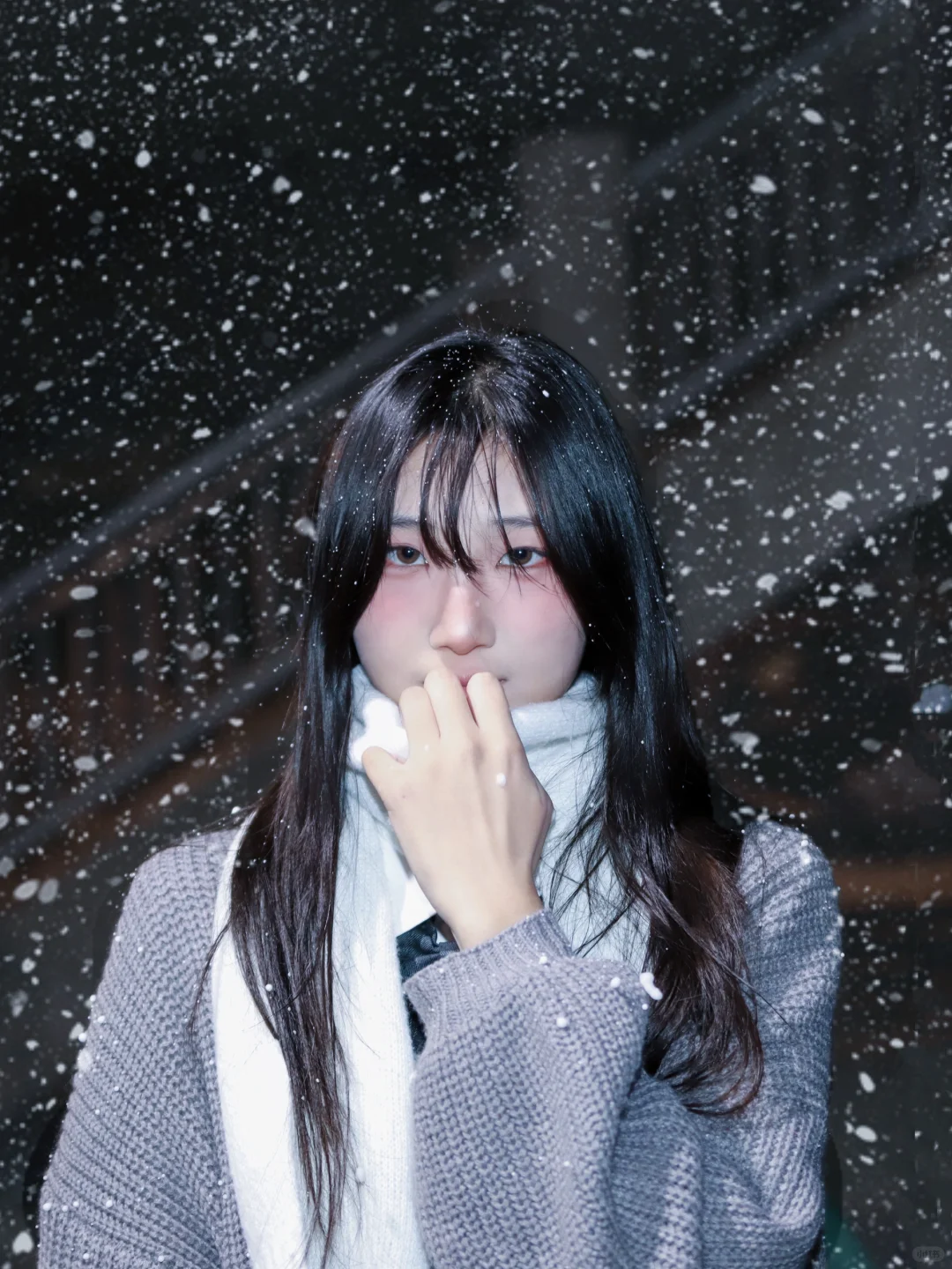 冬。