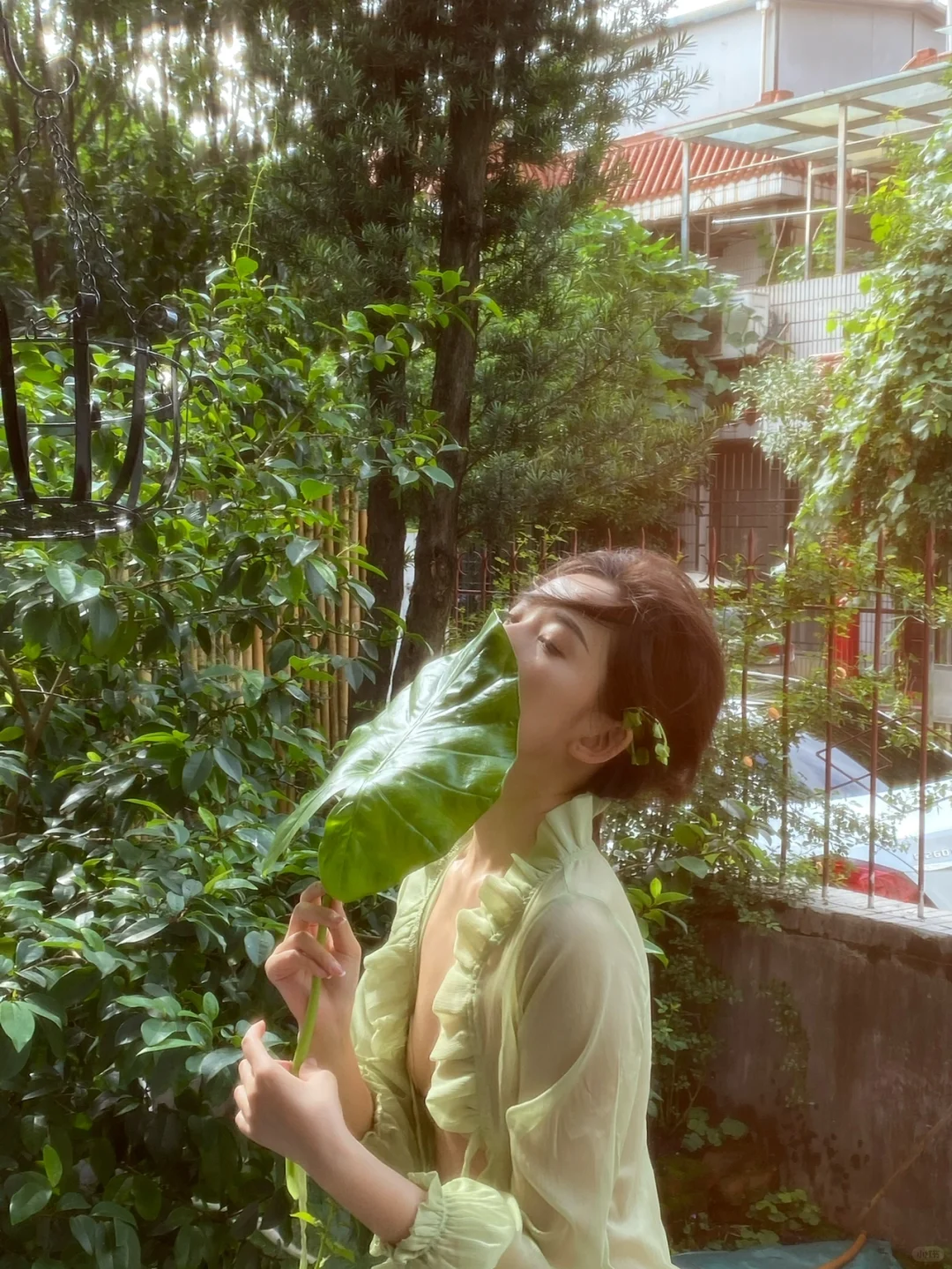 夏日 の写真 | 选封面图