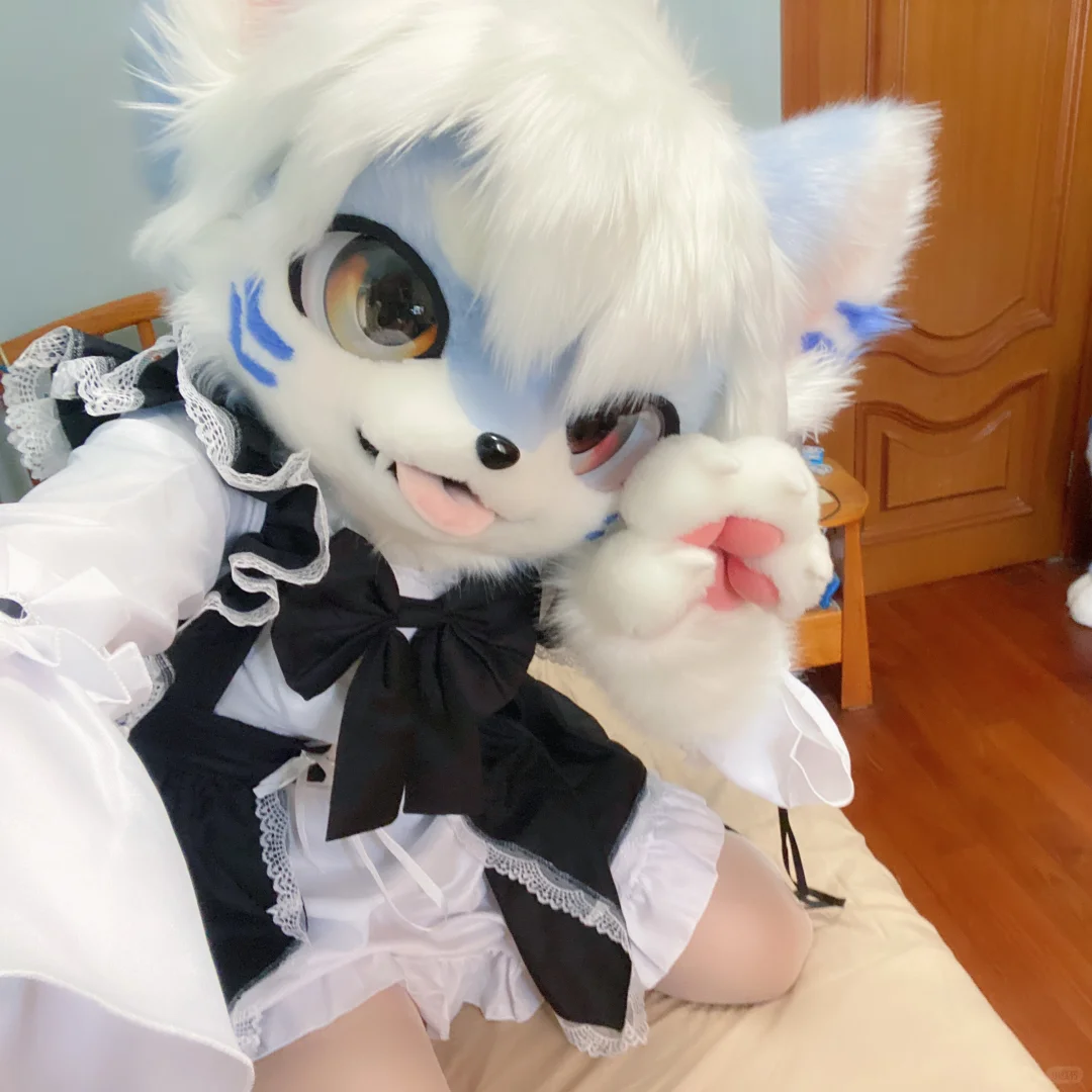 是可爱的白丝福瑞女仆！？