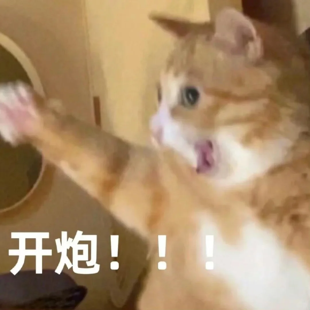 我是不会放弃收集抽象小猫表情包的