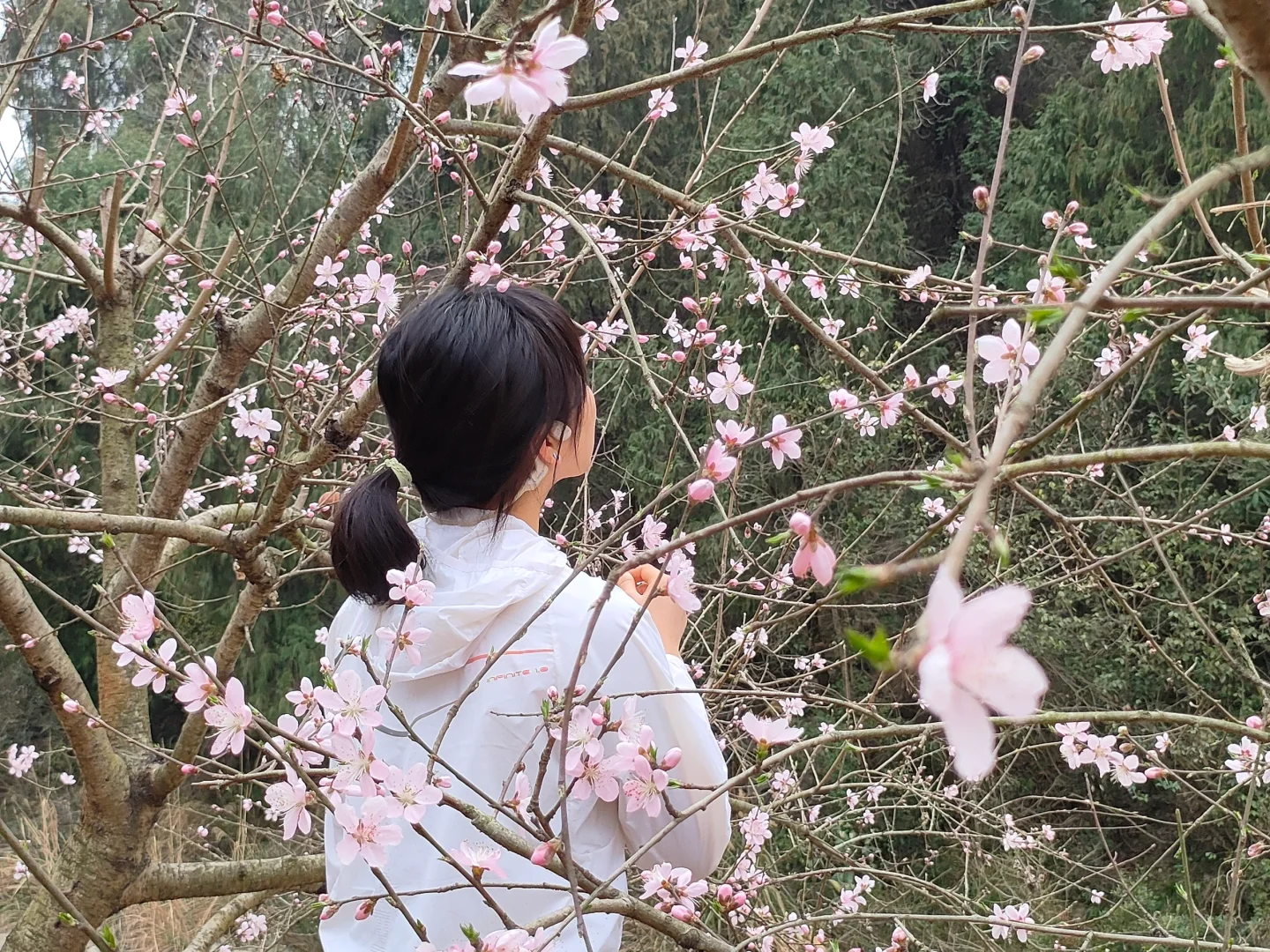 自然系女孩遇见春天