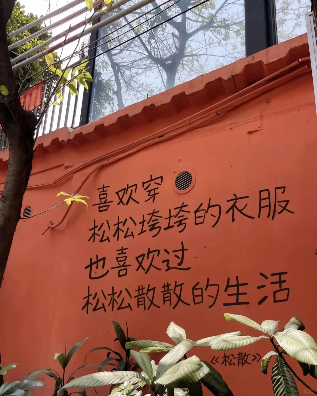 🍃 松松垮垮的衣着，松松散散的生活