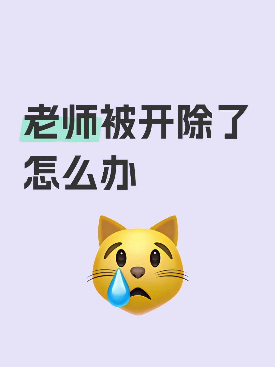 后续来了！！！