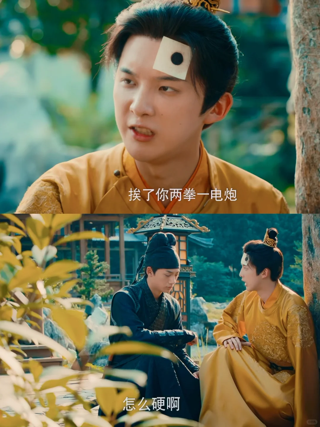 第一集就笑疯了❗️哈哈哈哈哈哈