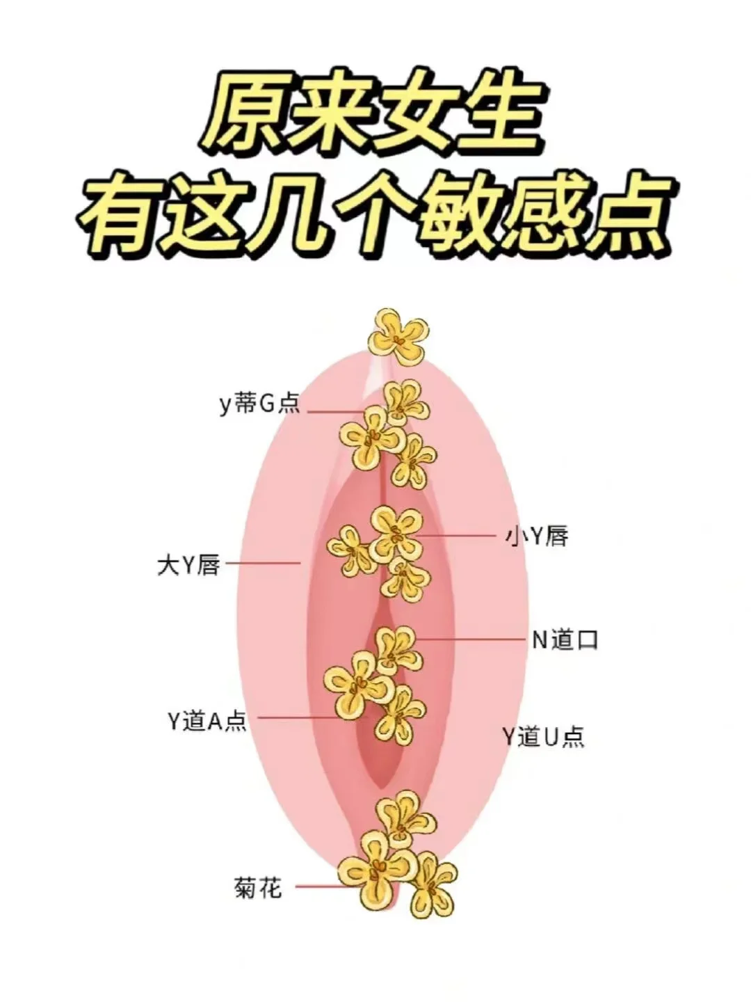 女生小花园的秘密基地