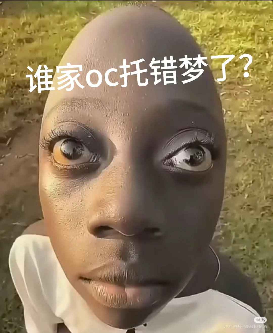谁家oc托错梦了？