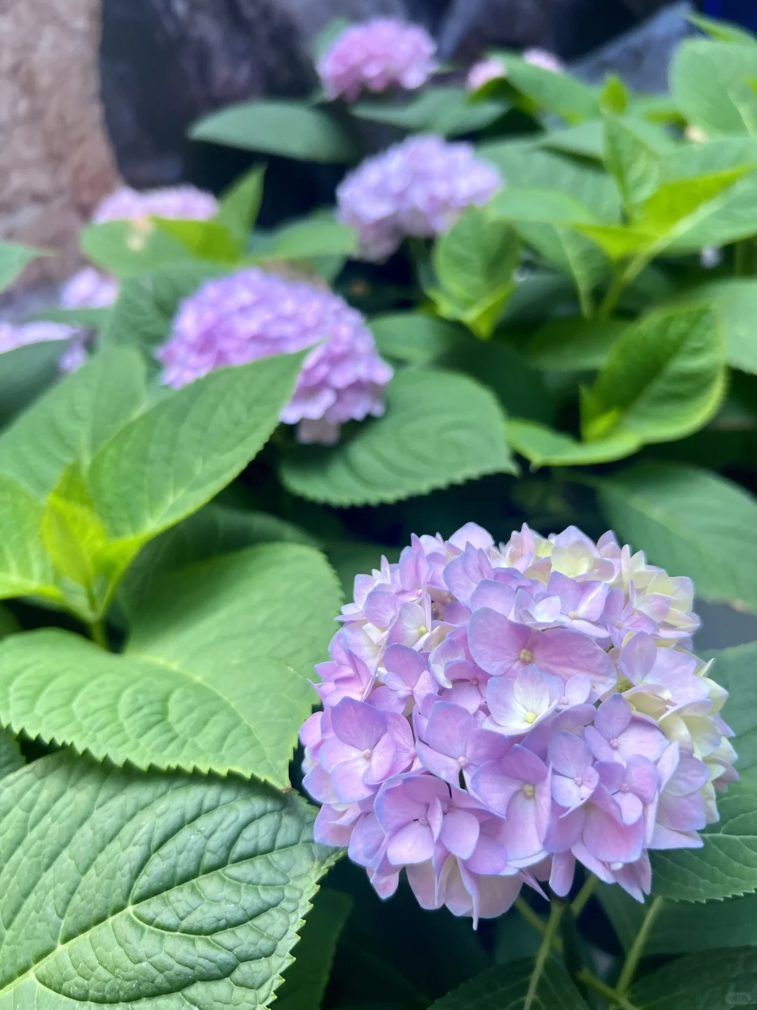 早八打卡健身～🏃‍♀️