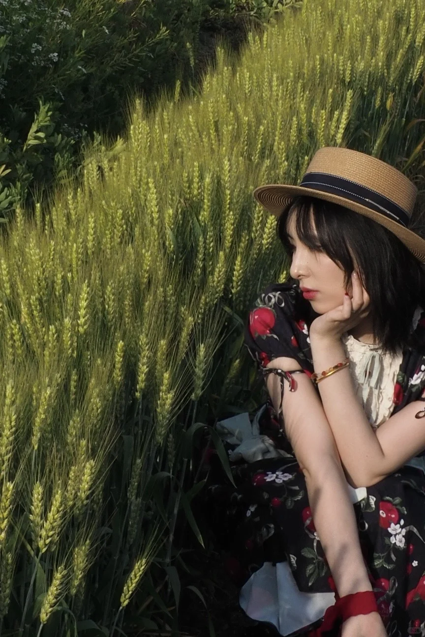 麦田少女🌾