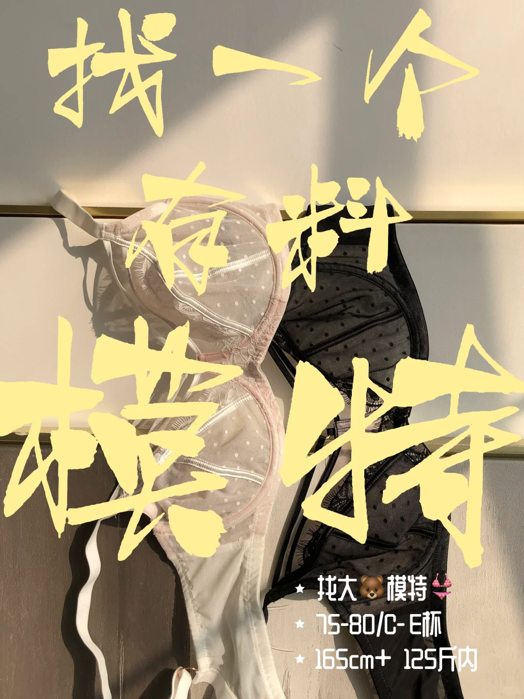 摇人｜找一个大码模特！