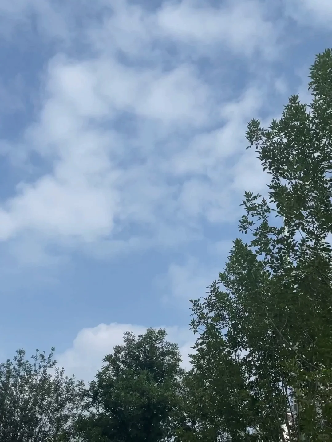 终于晴天咯 出门～
