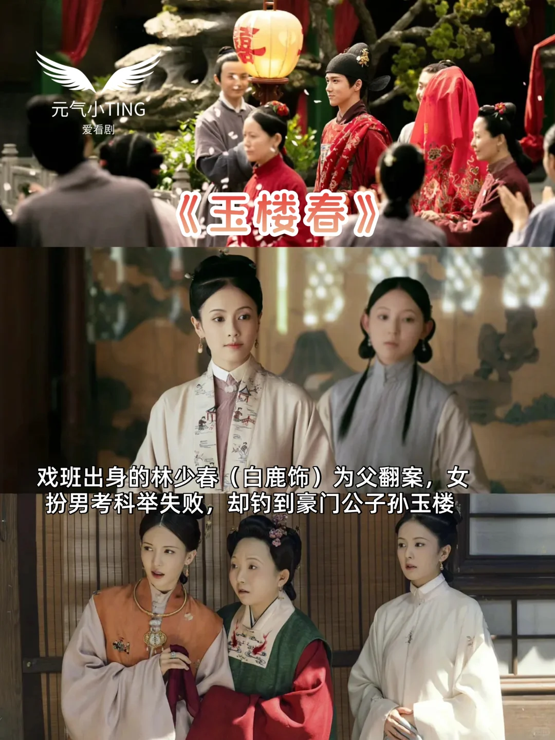 6部古装轻喜剧！下饭剧一口气刷完笑疯🤣