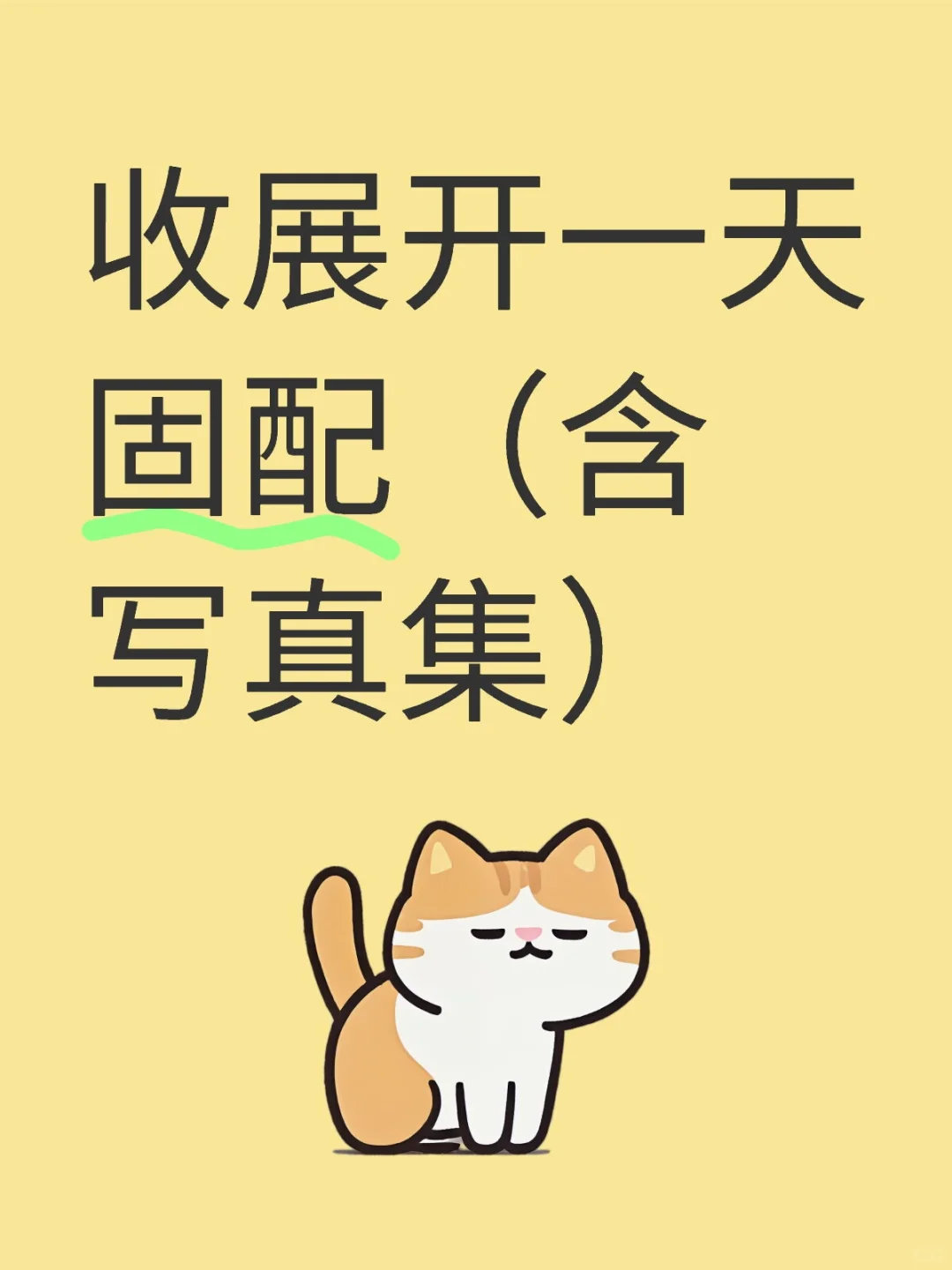 收展开一天