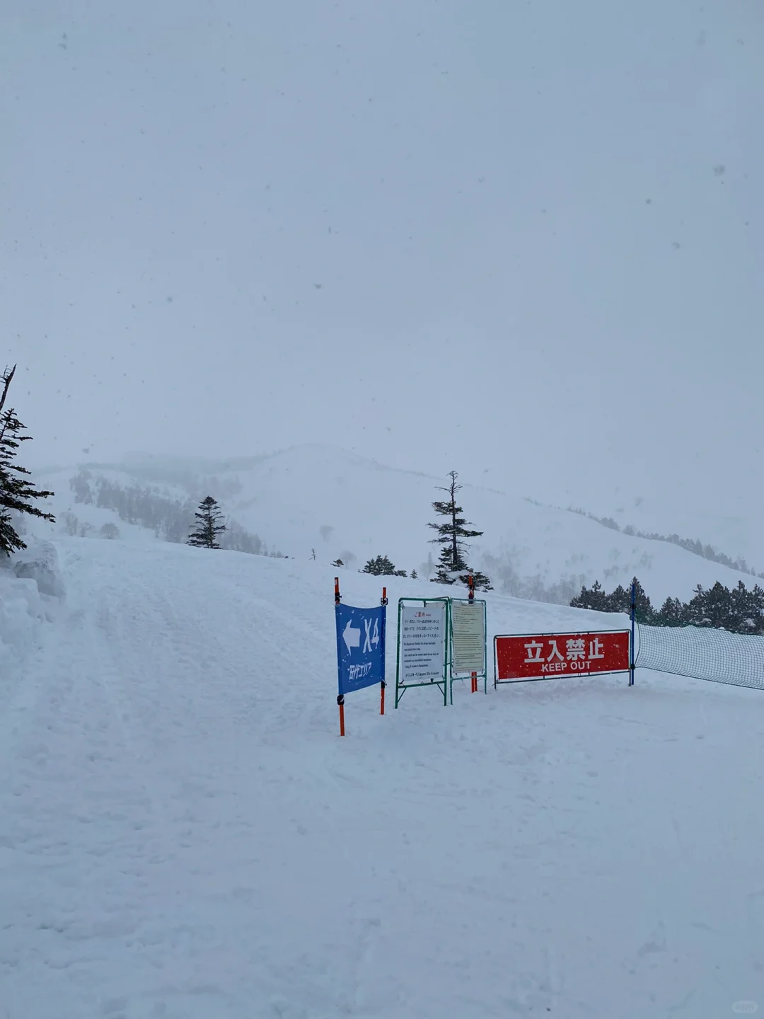 回顾雪季
