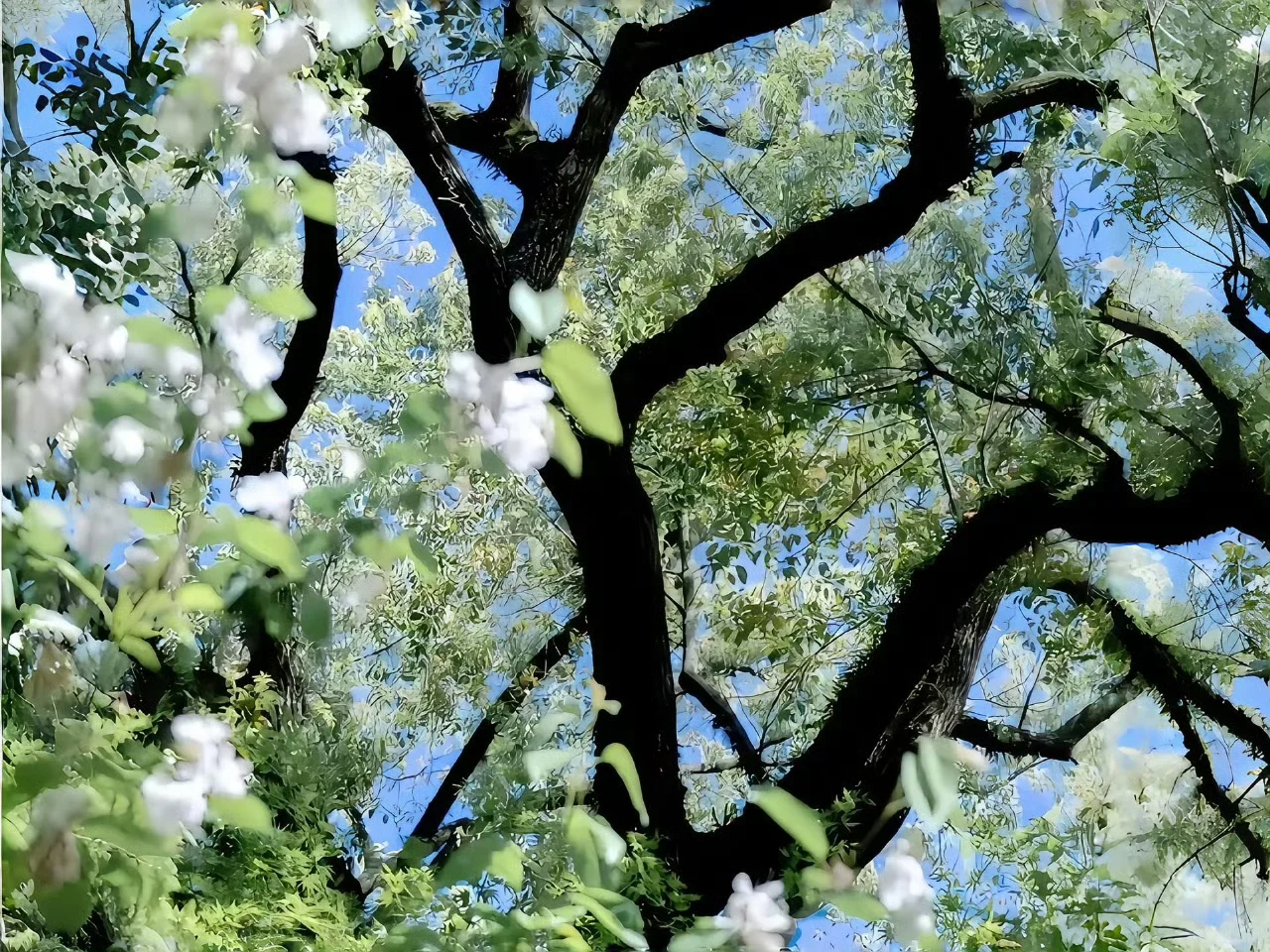 ipad壁纸分享💕🎶😴